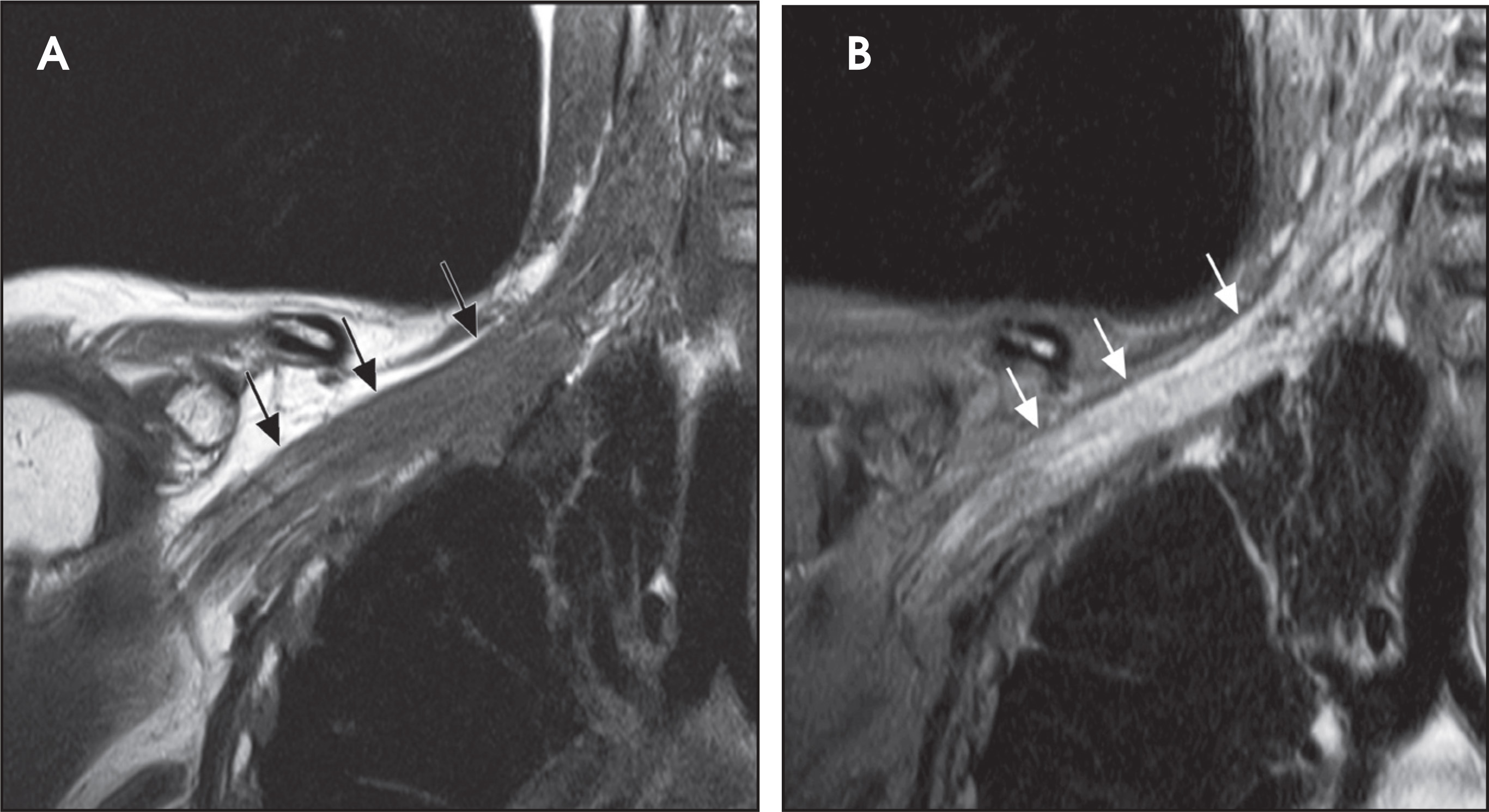 FIGURE 12.