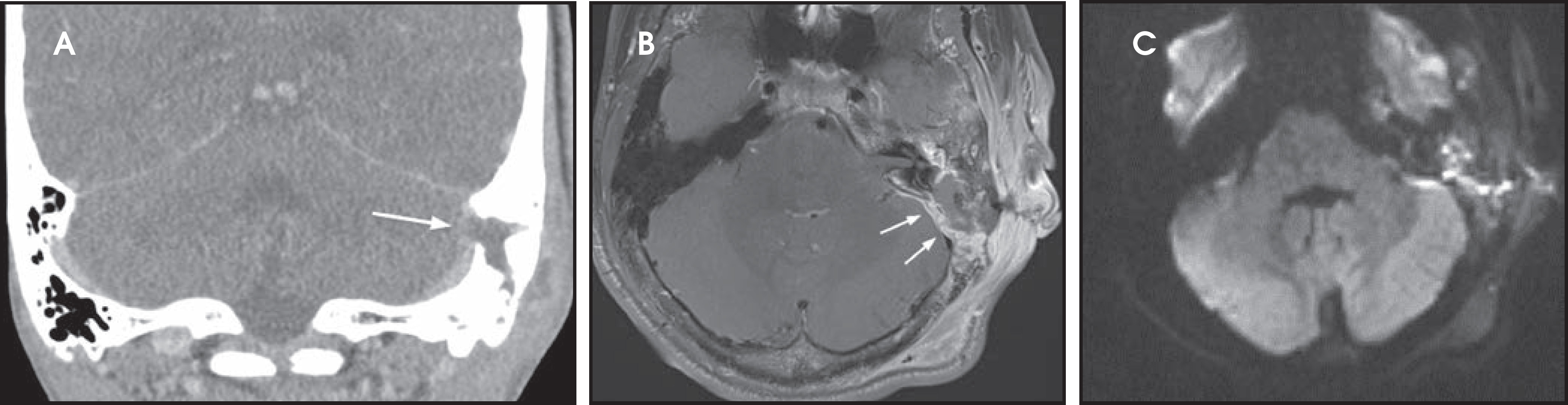 FIGURE 1.