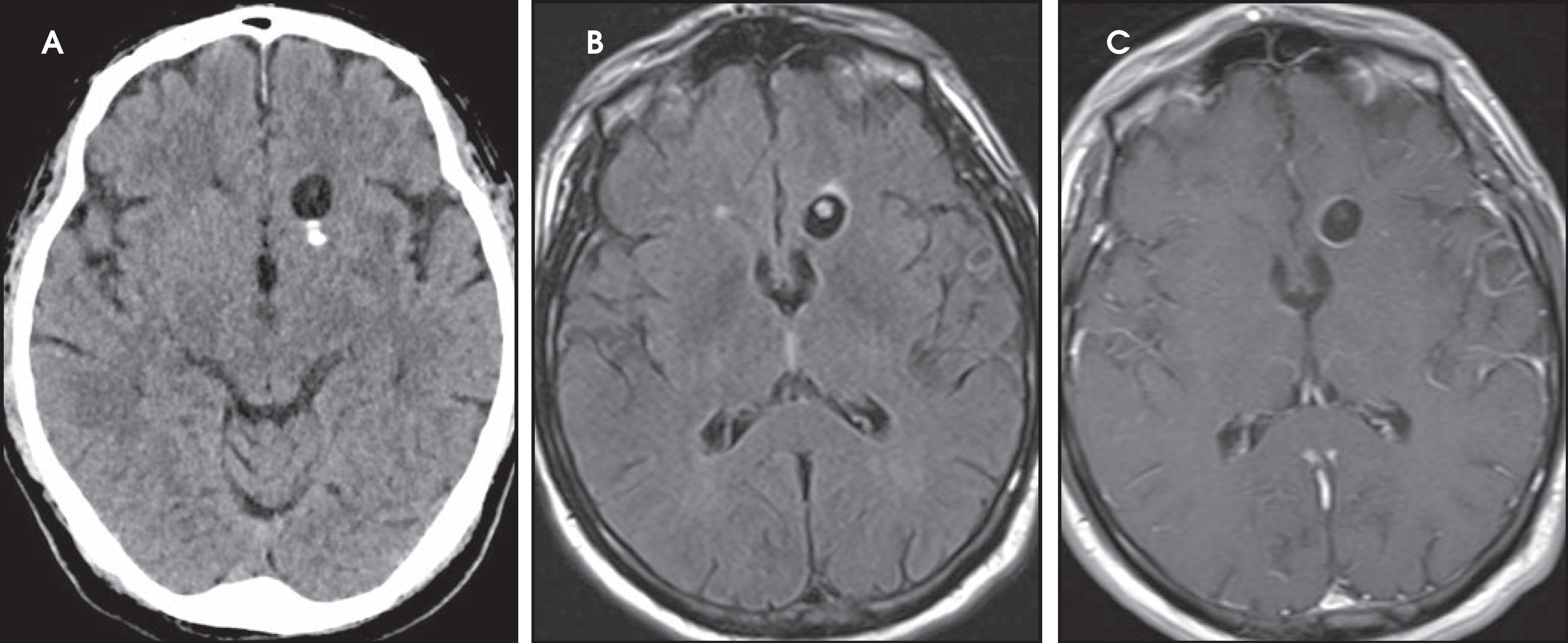FIGURE 13.