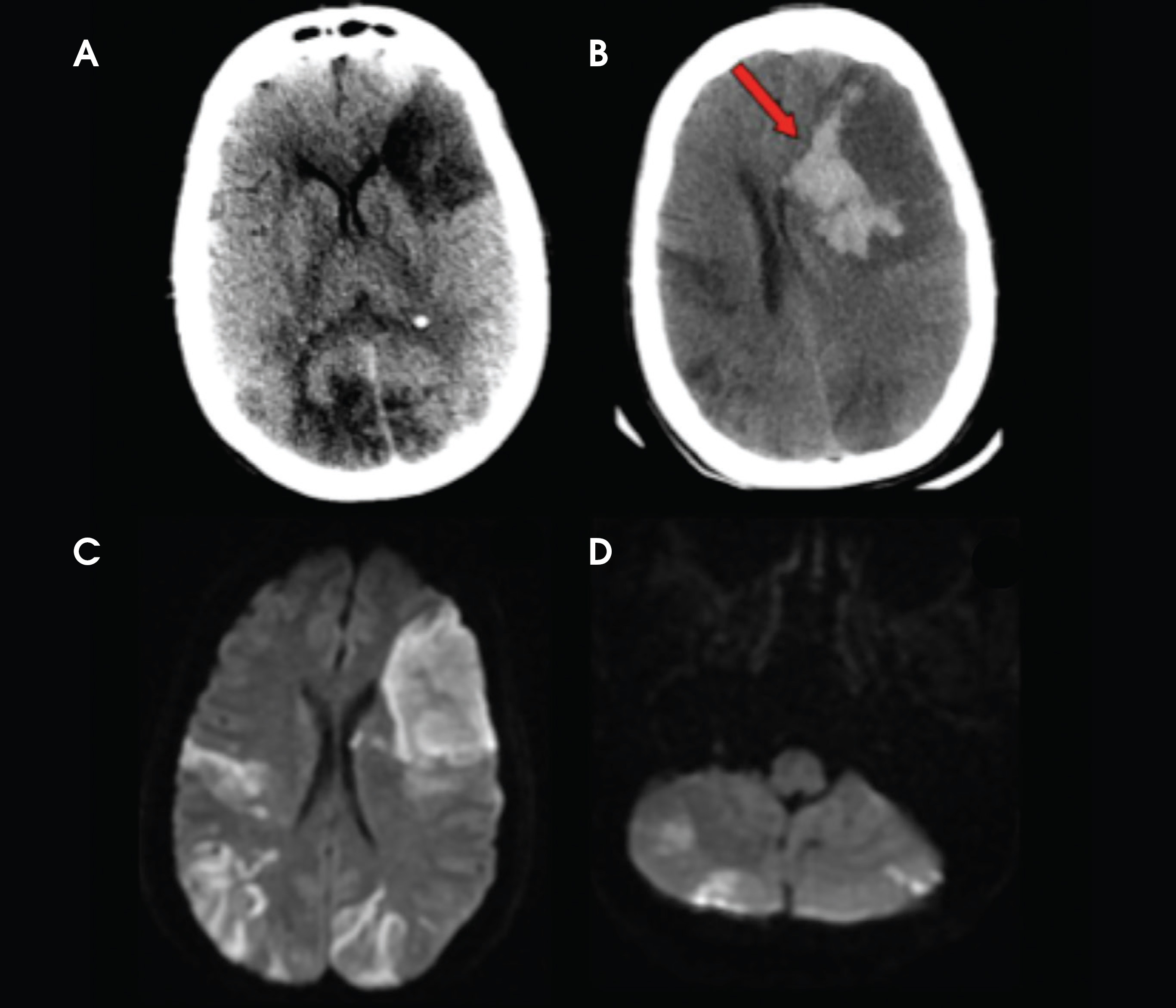 FIGURE 2.