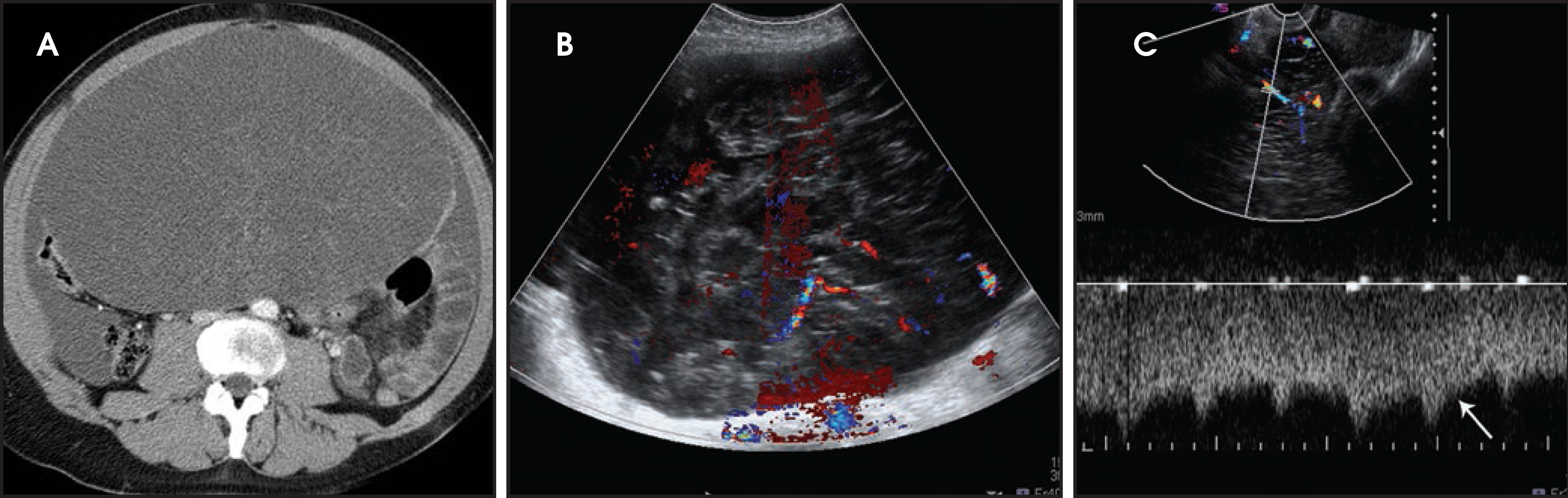 FIGURE 12.