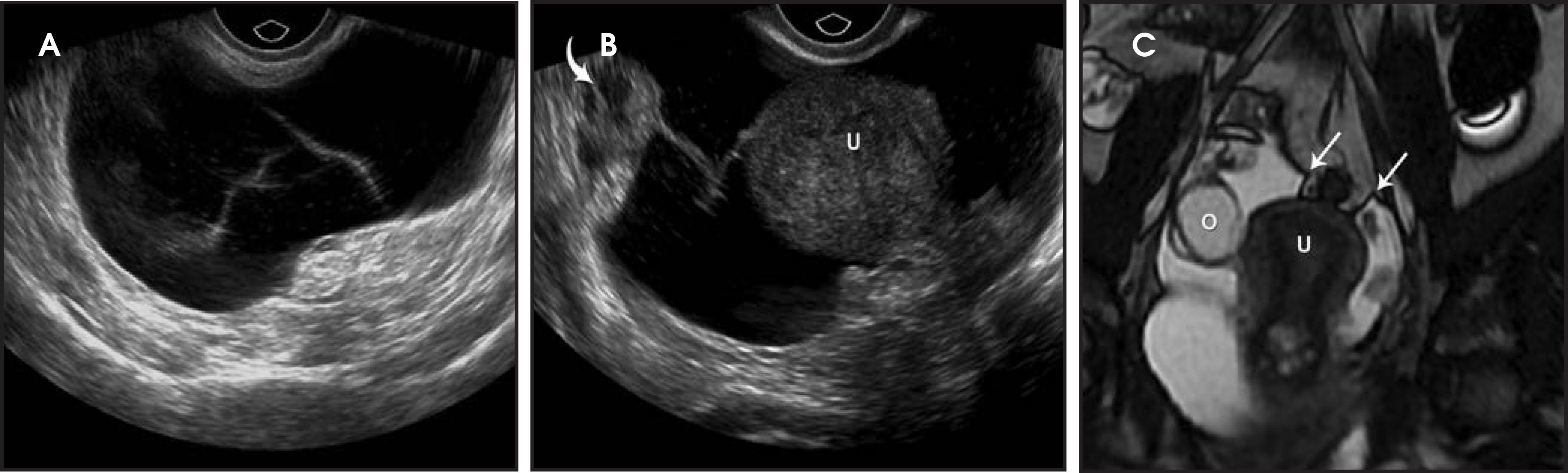 FIGURE 13.