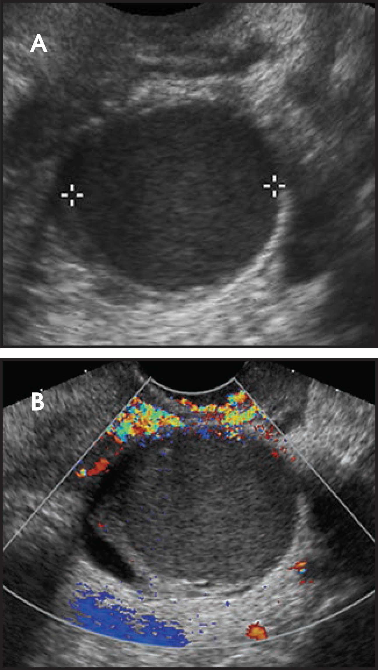 FIGURE 15.