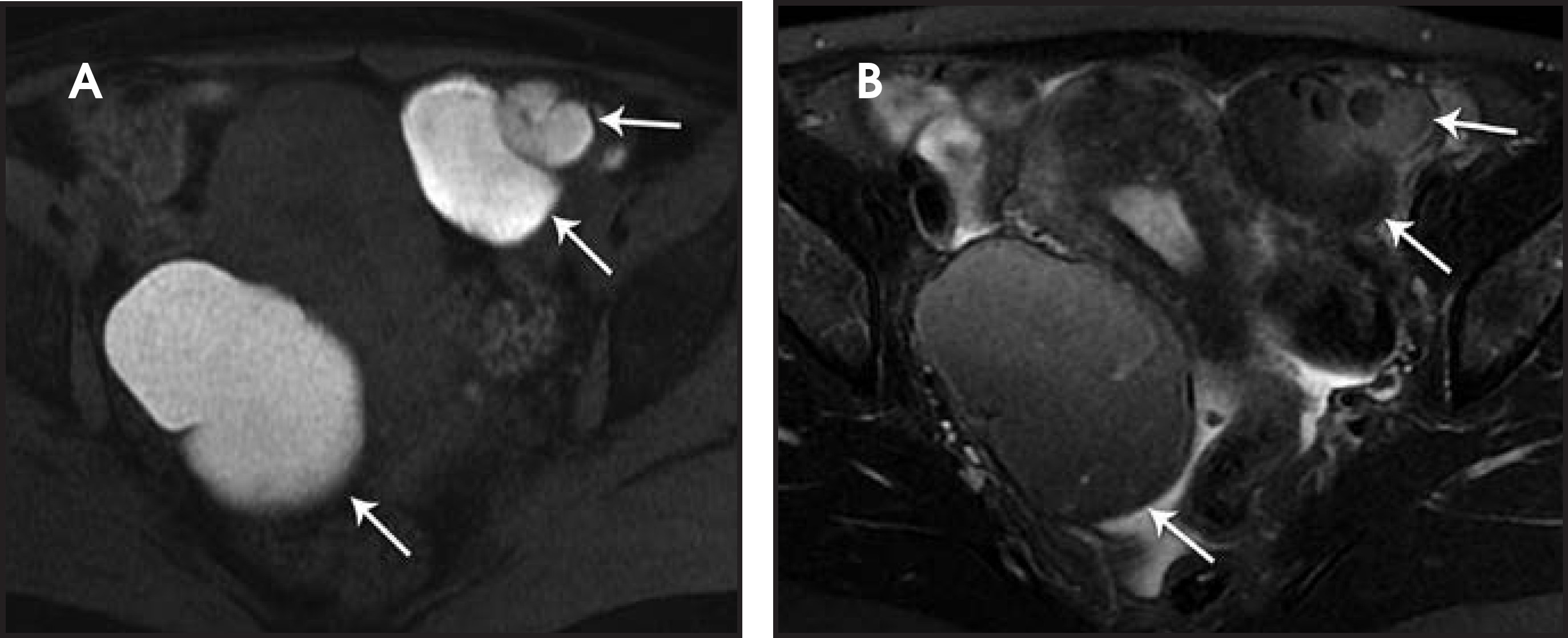 FIGURE 16.