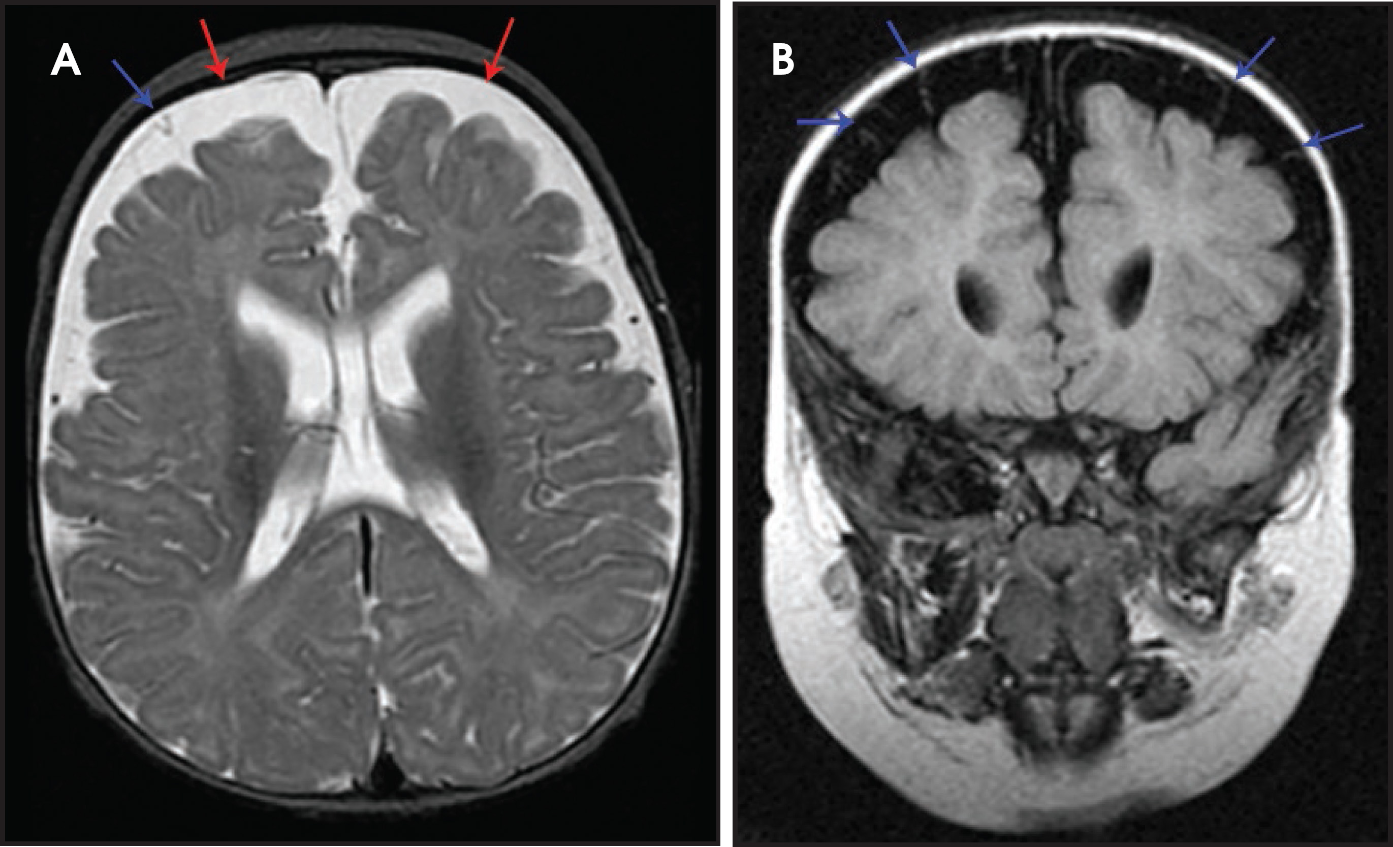 FIGURE 7.