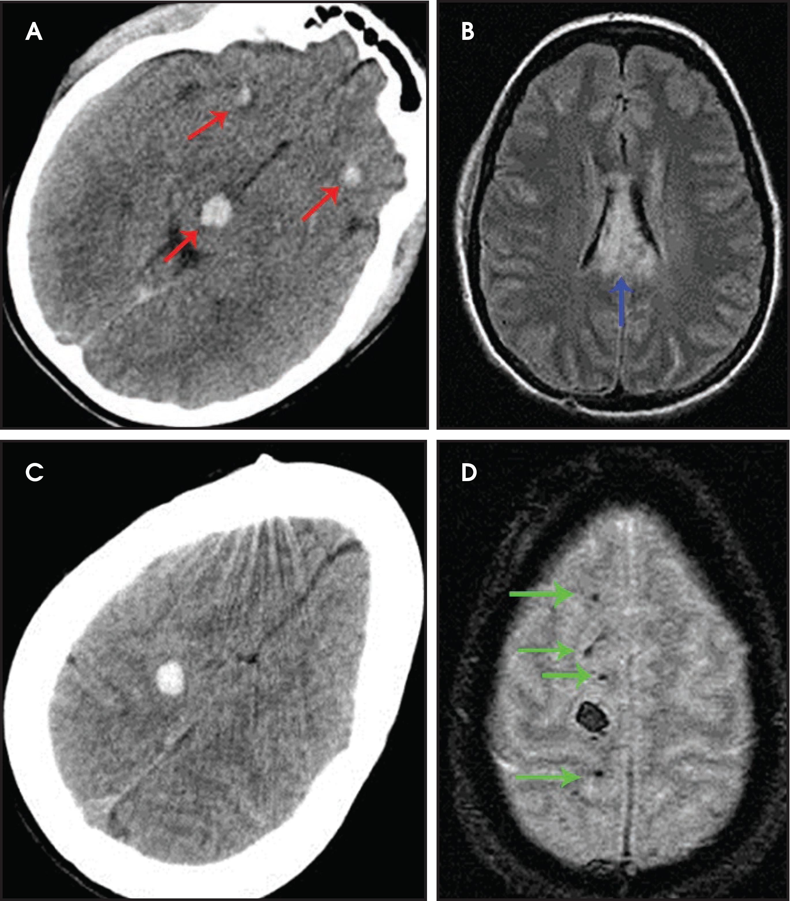 FIGURE 12.