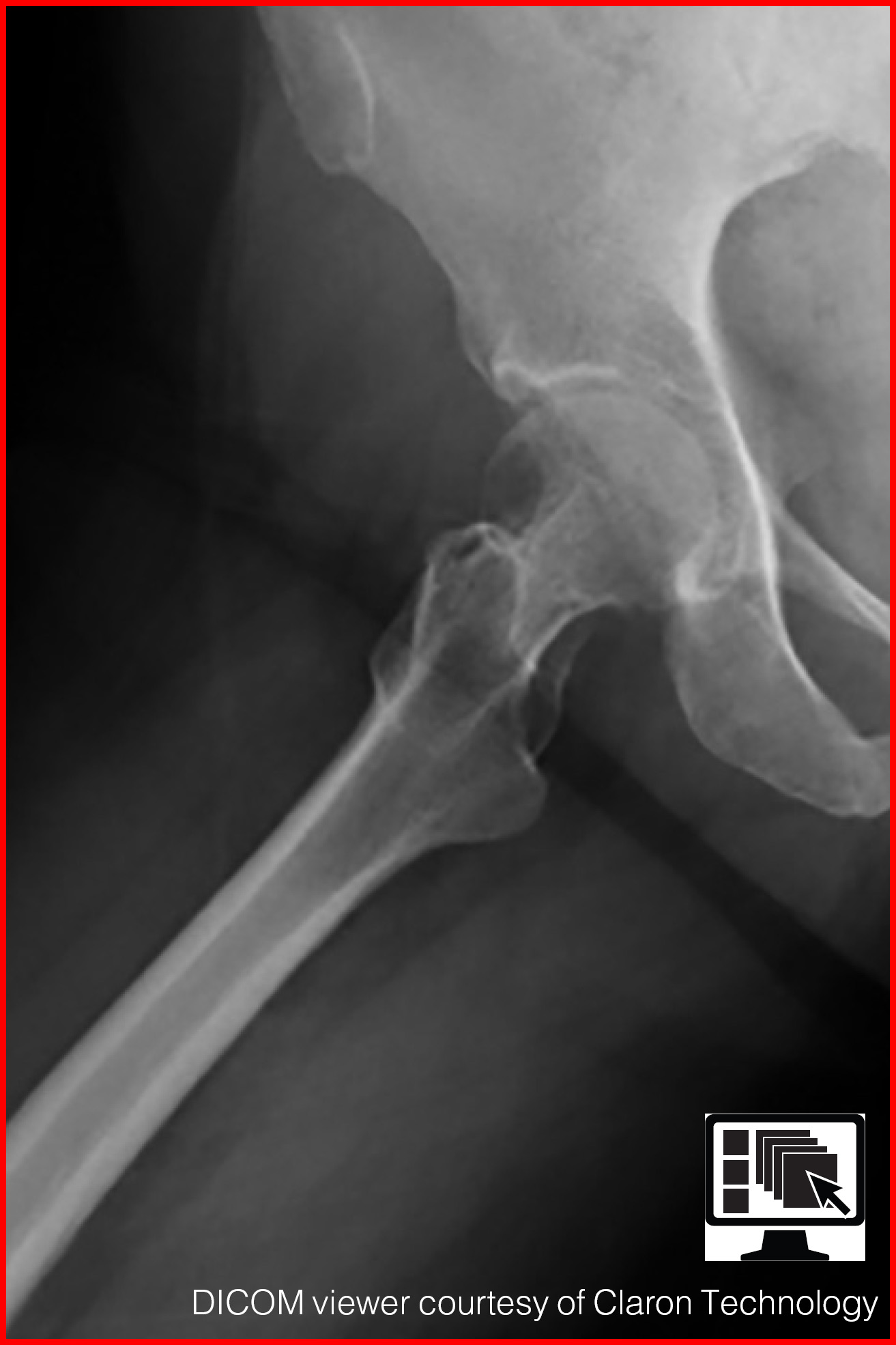 FIGURE 1.