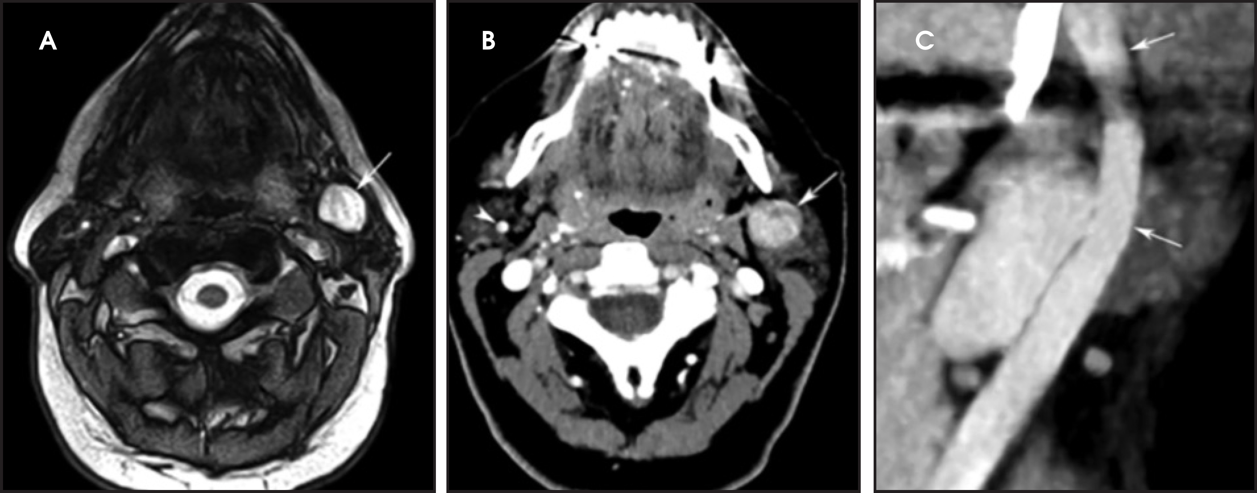 FIGURE 1.