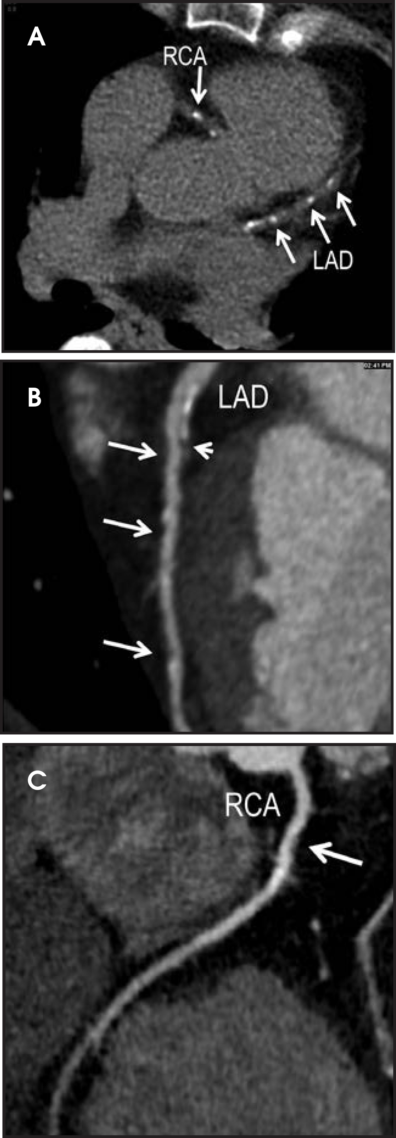 FIGURE 4.