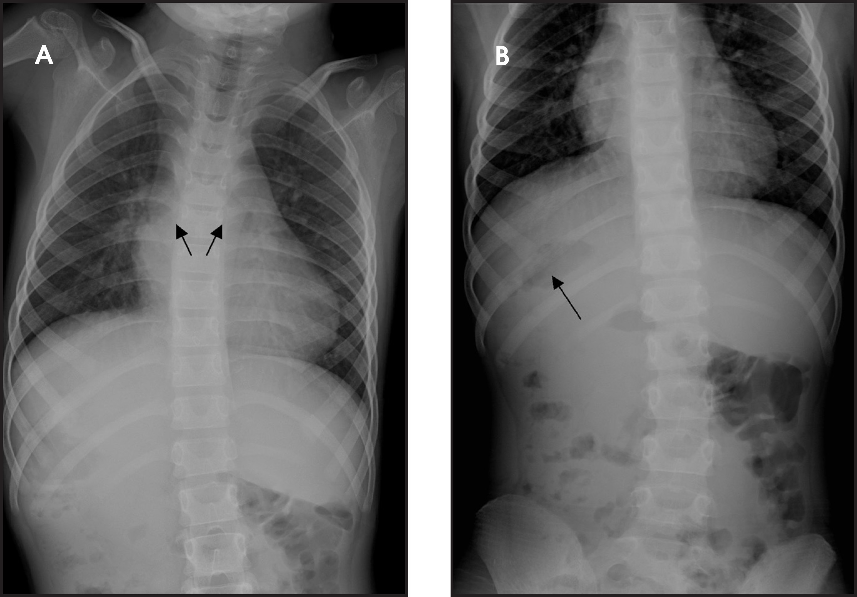 FIGURE 1.