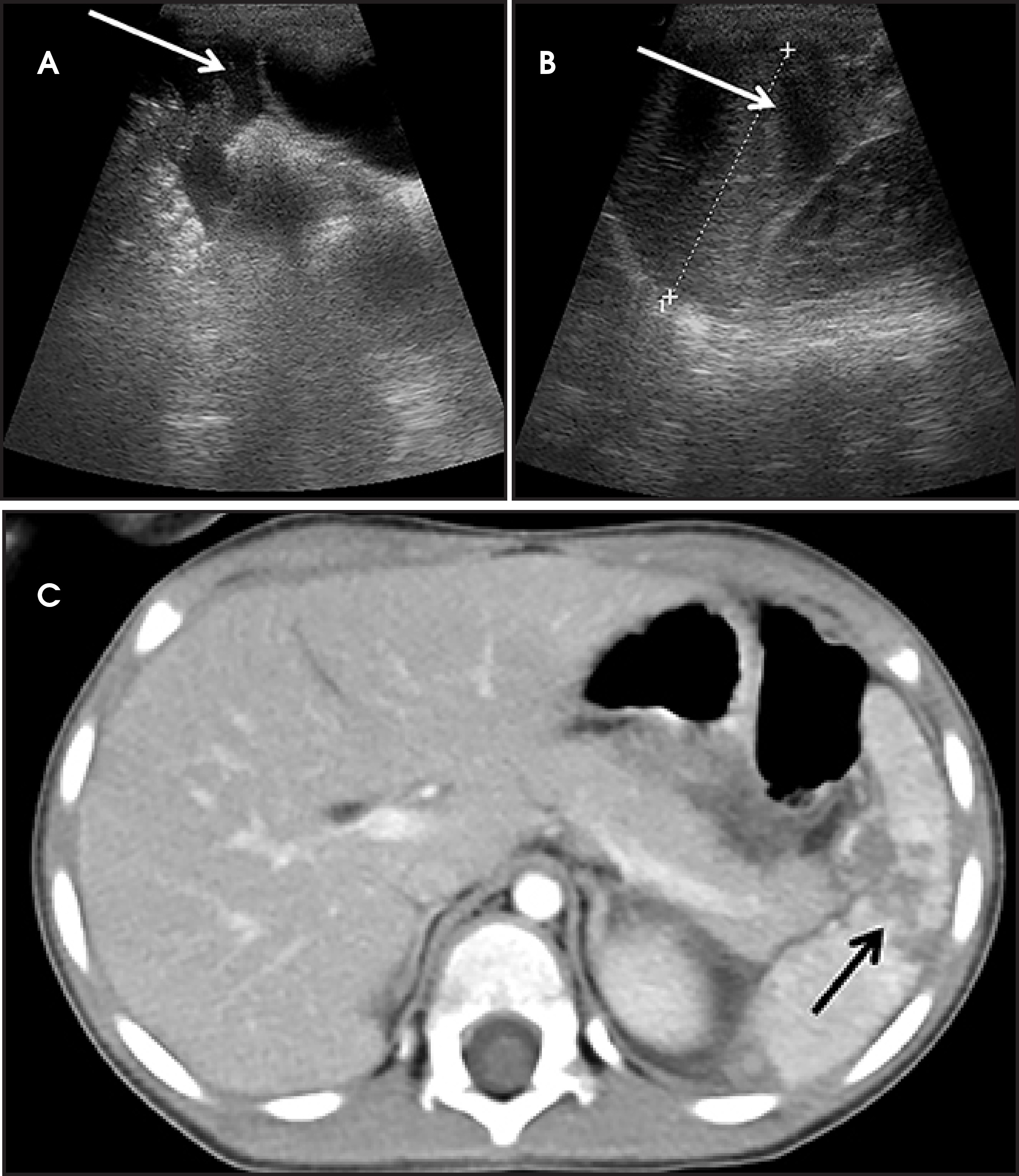 FIGURE 1.
