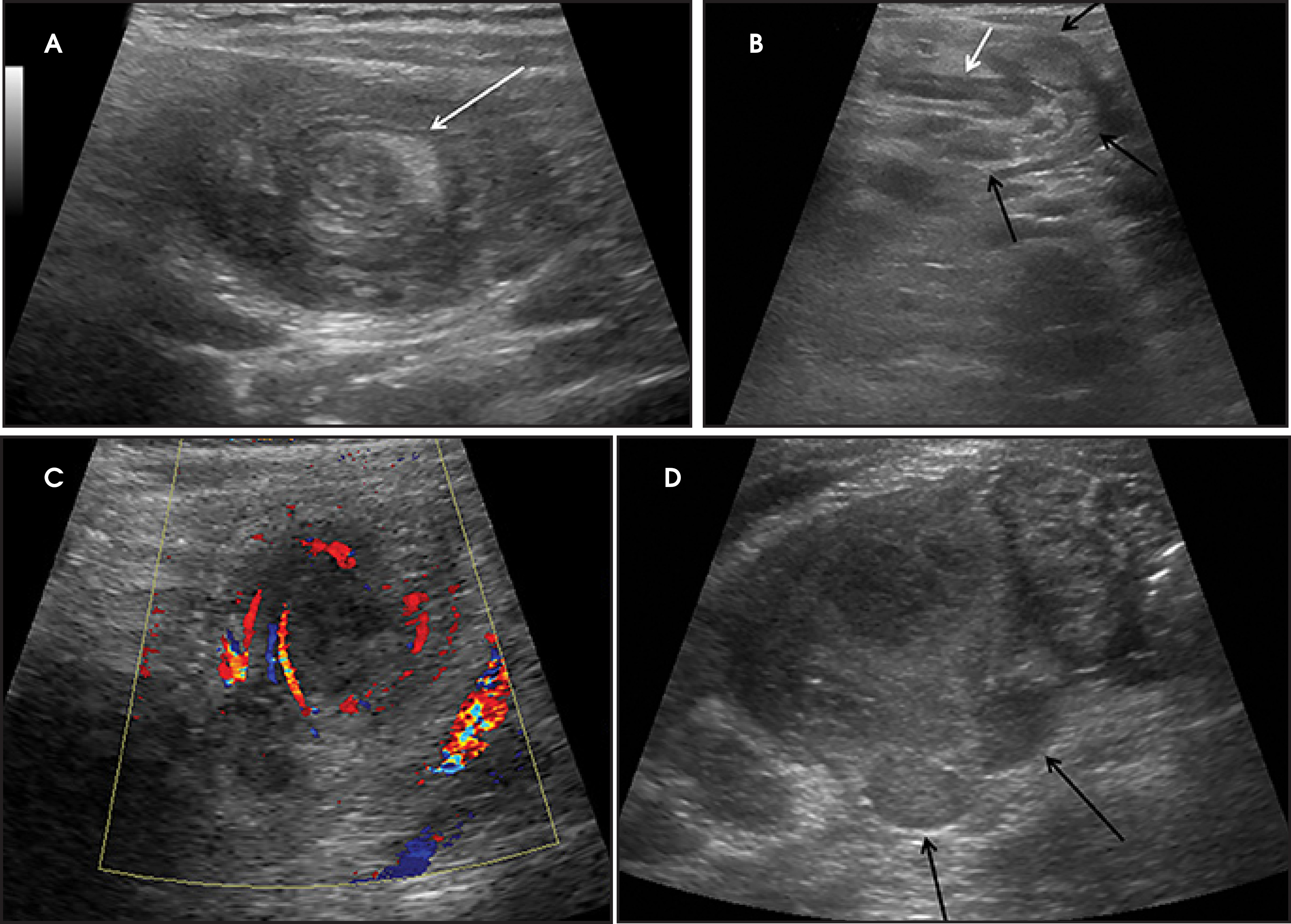 FIGURE 4.