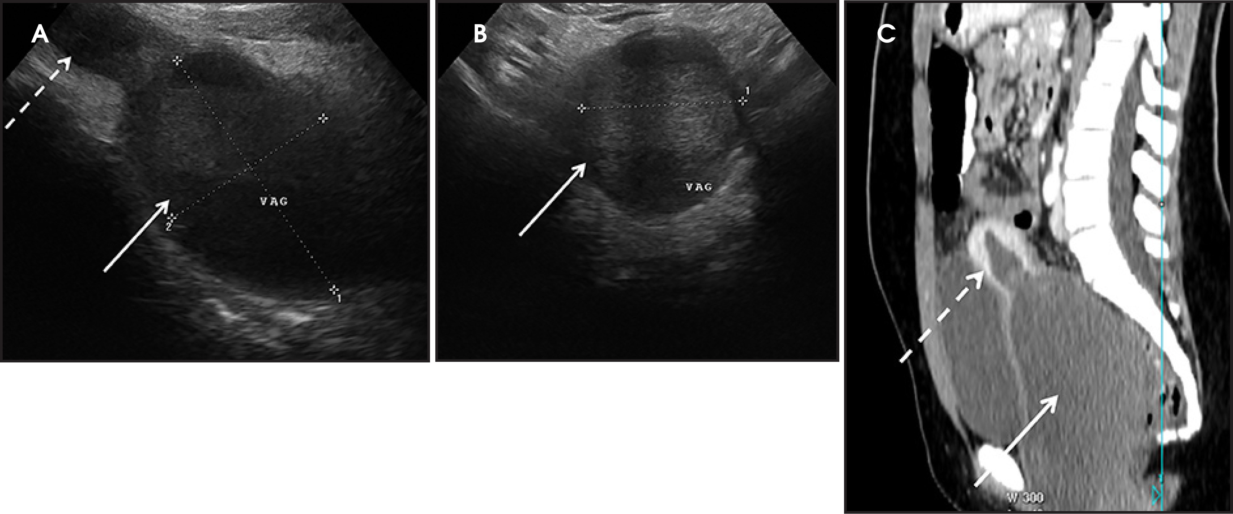 FIGURE 12.