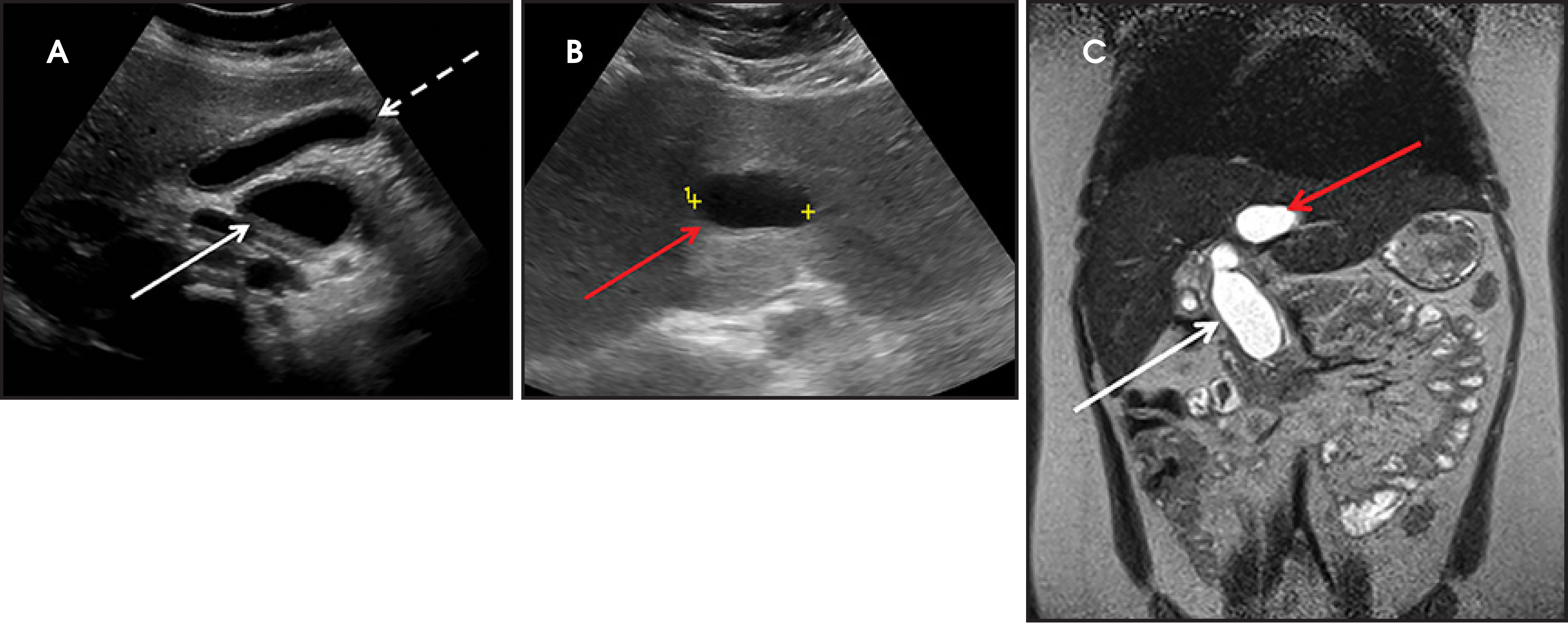 FIGURE 15.