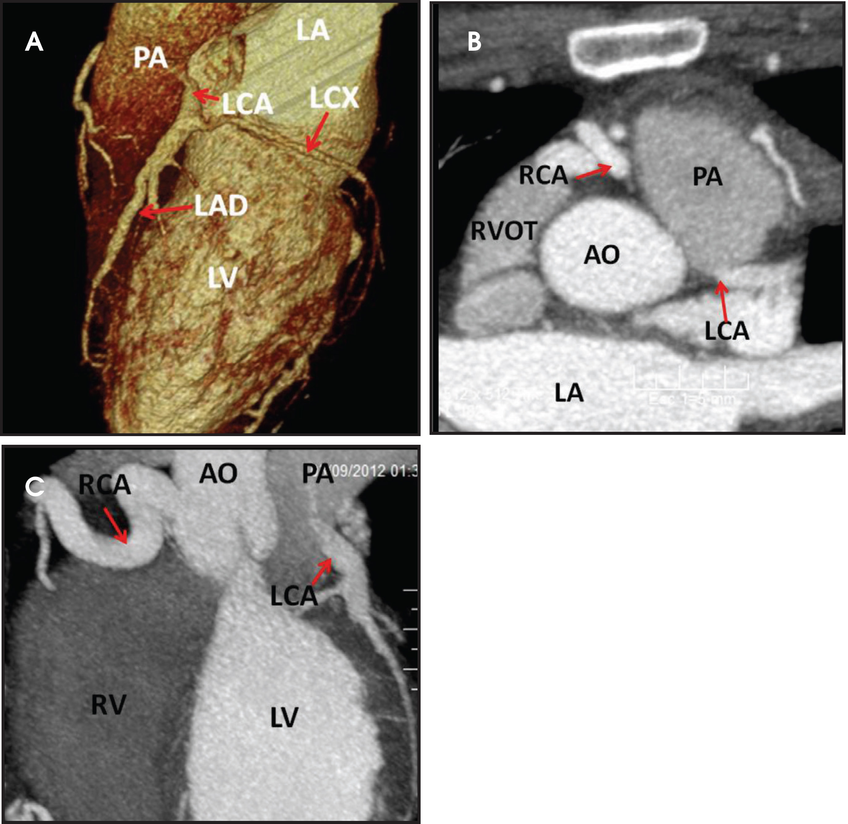 FIGURE 3.