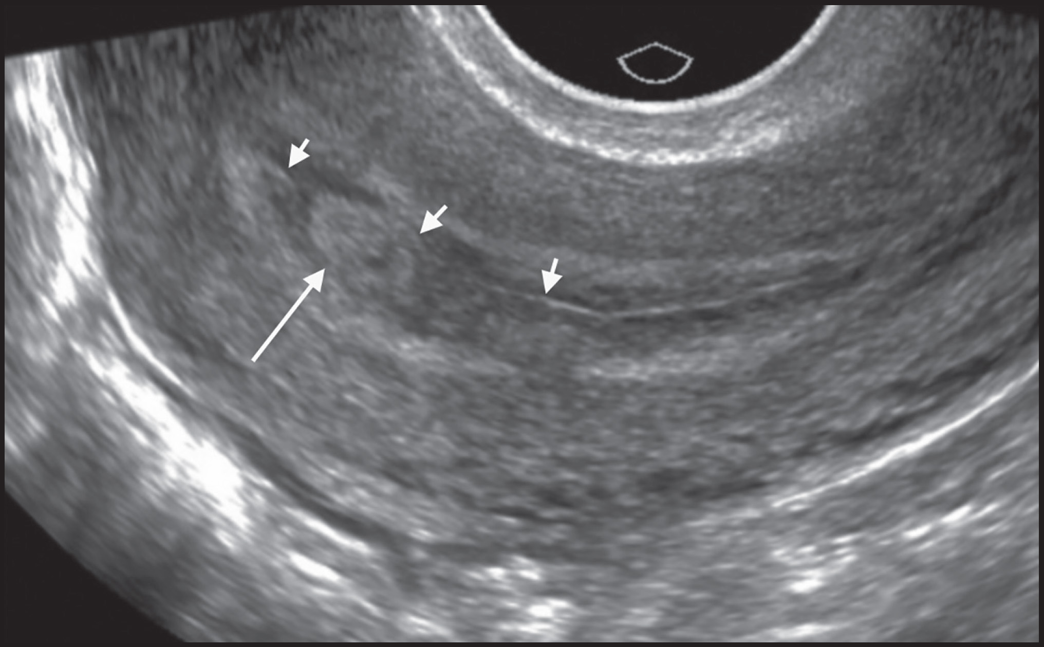 FIGURE 1.