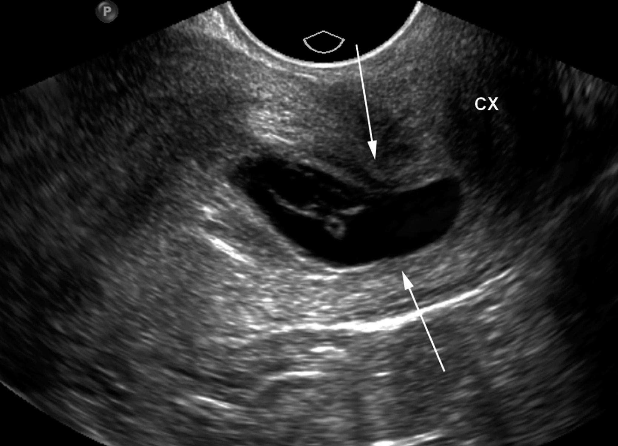 FIGURE 12.