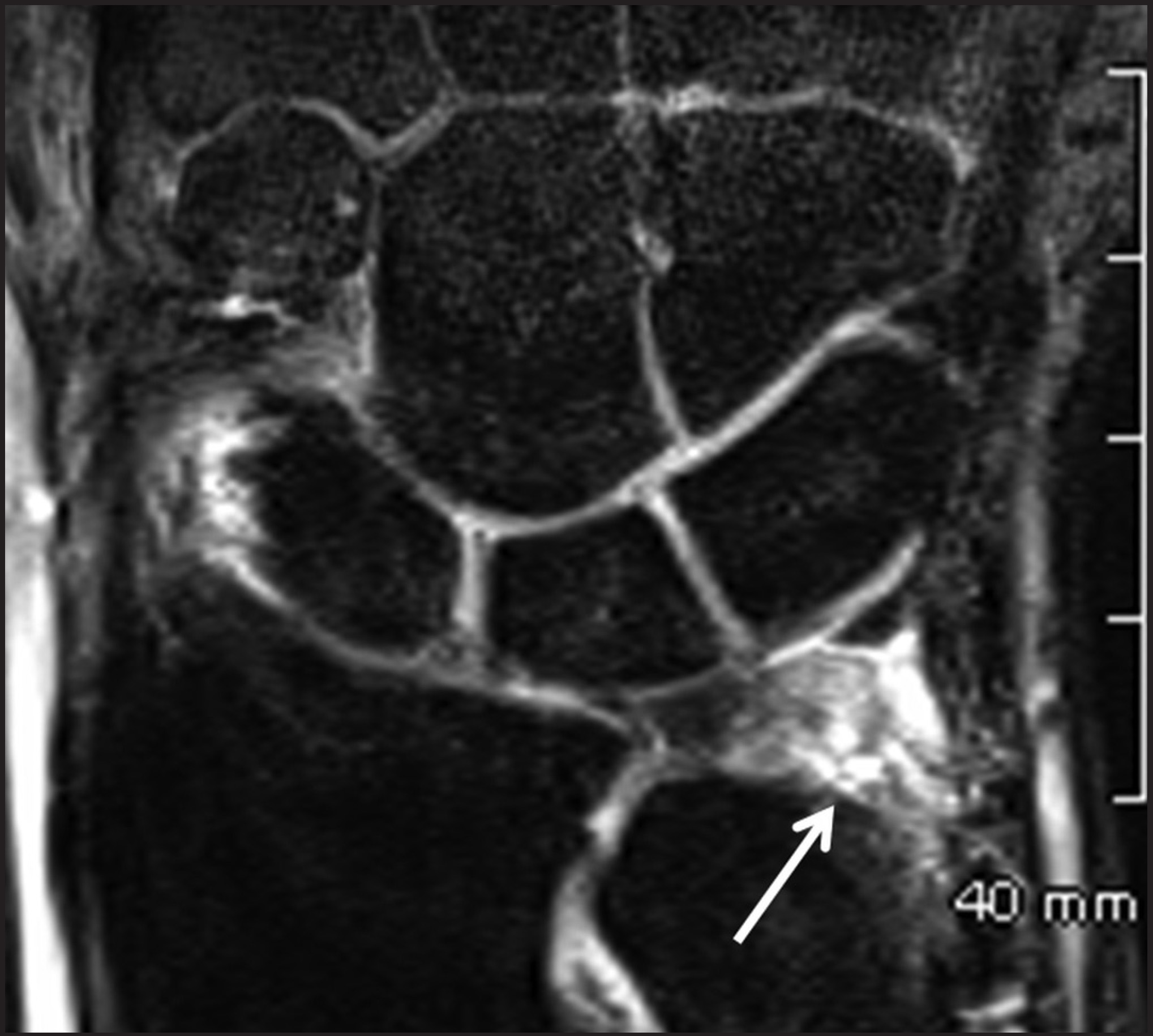 FIGURE 10.