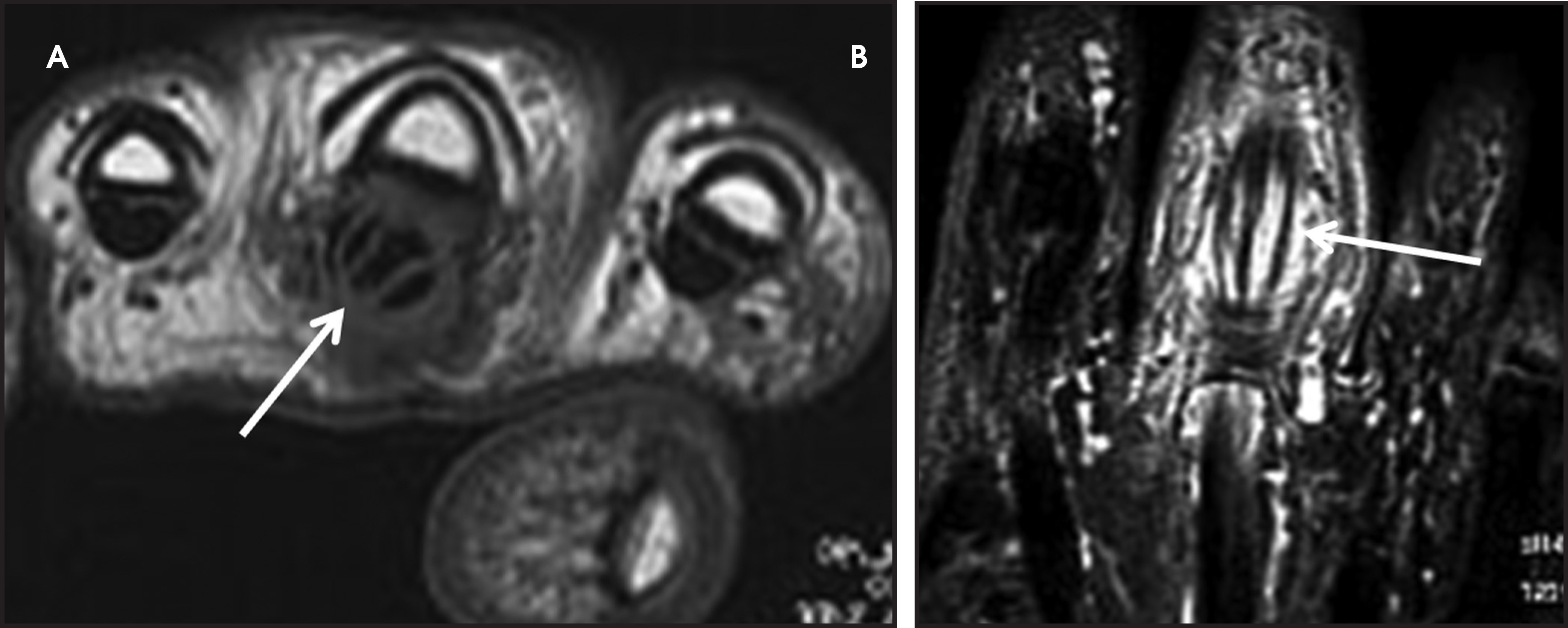 FIGURE 12.