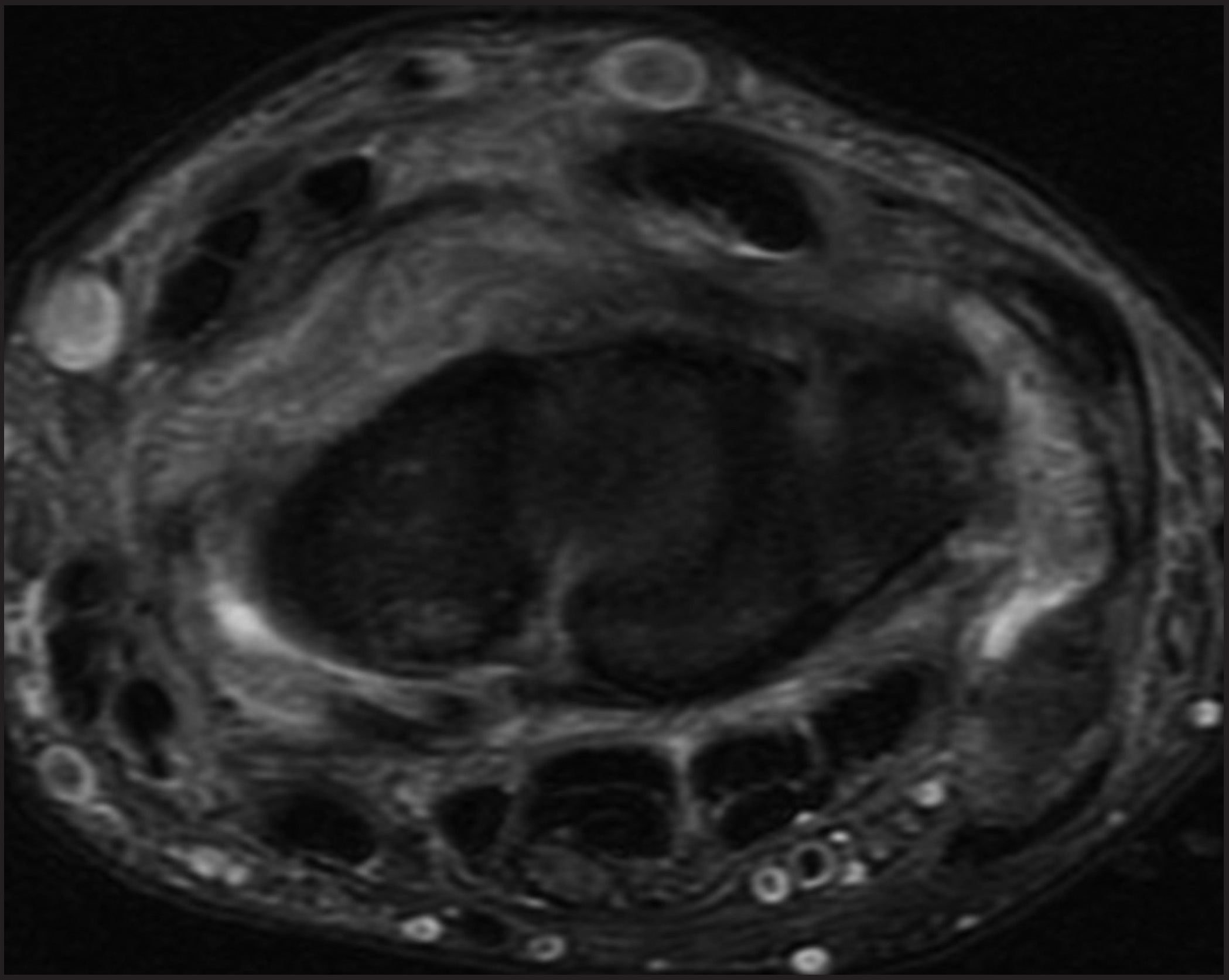 FIGURE 18.
