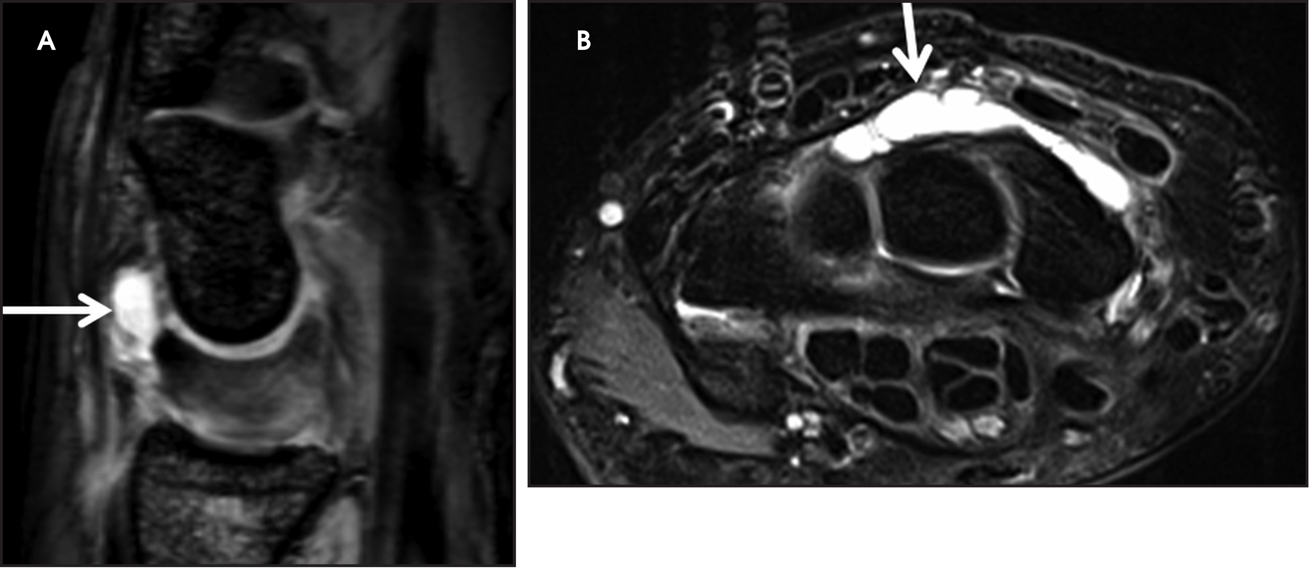 FIGURE 19.