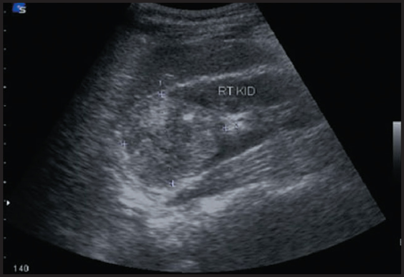 FIGURE 1.