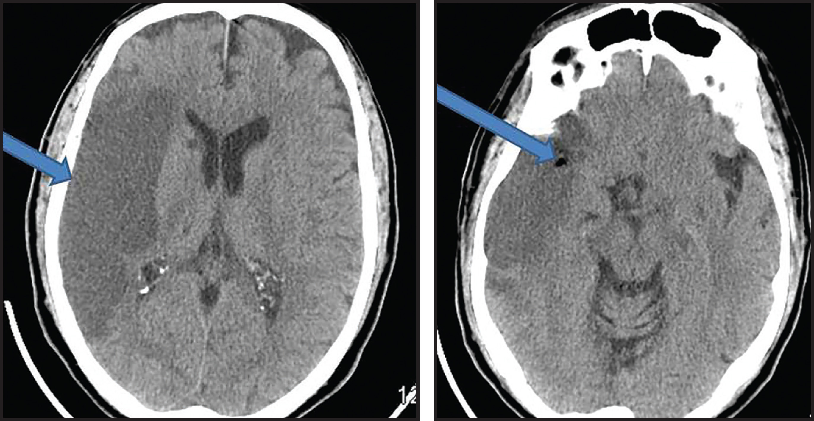 FIGURE 1.