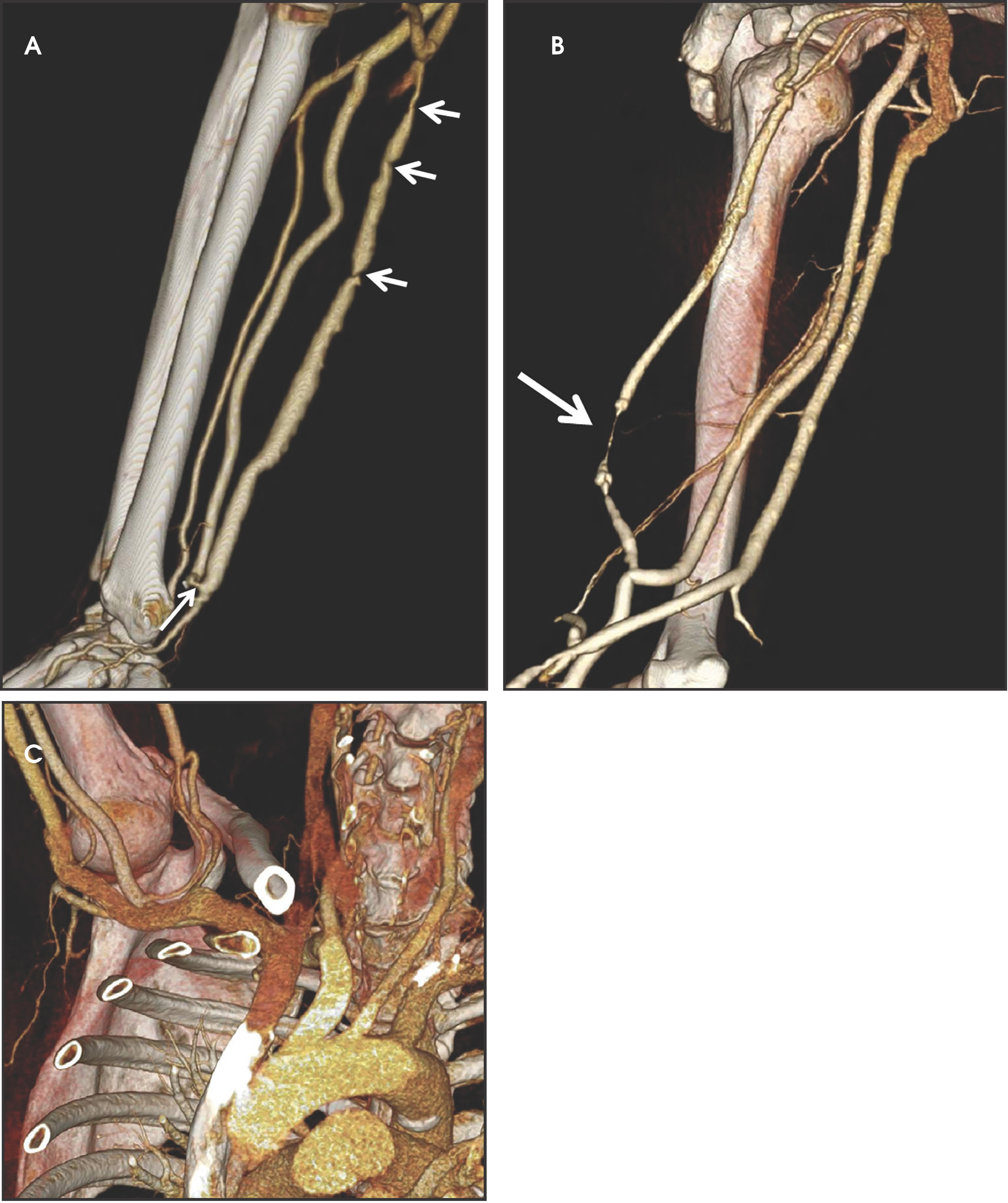 FIGURE 1.