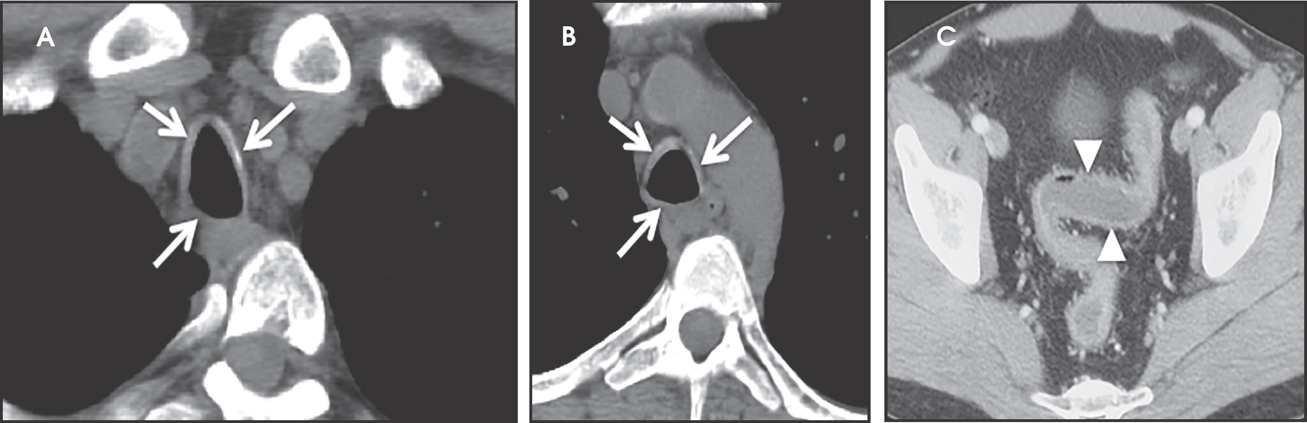 FIGURE 7.