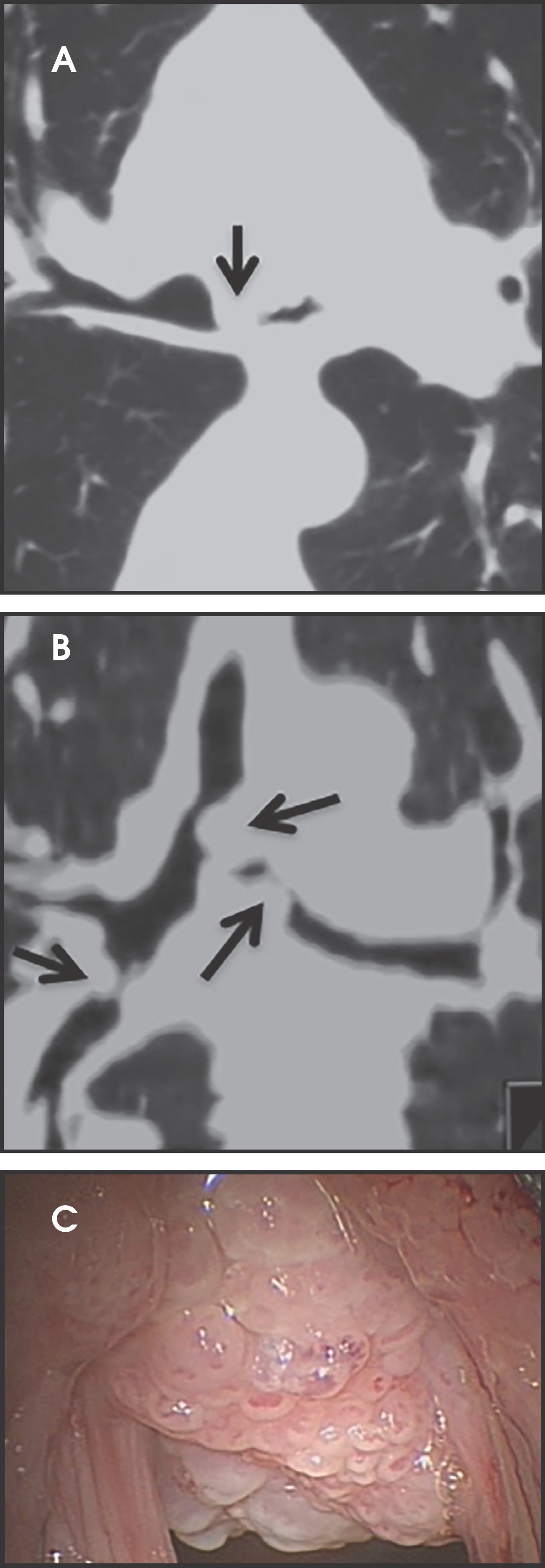 FIGURE 9.