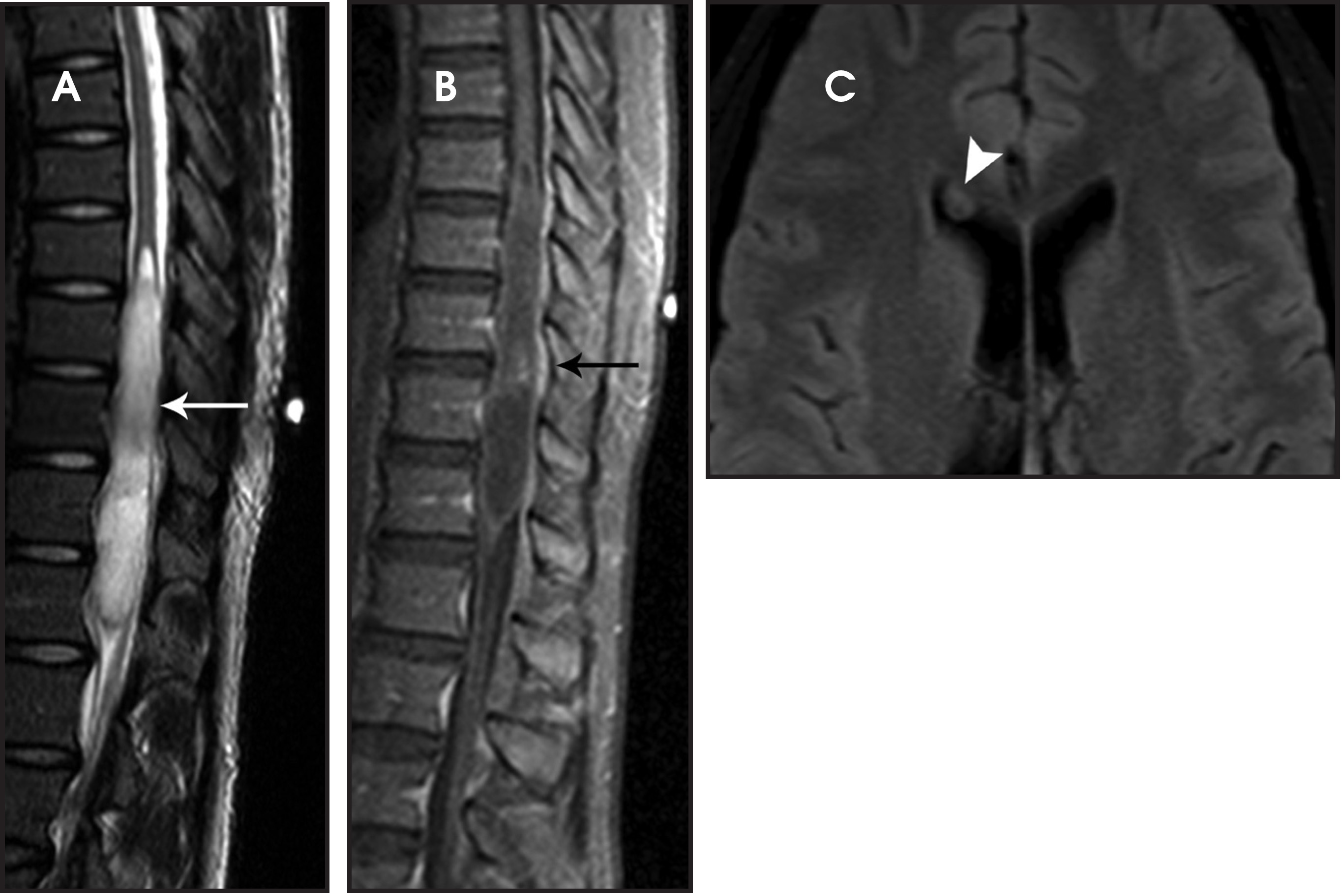 FIGURE 4.