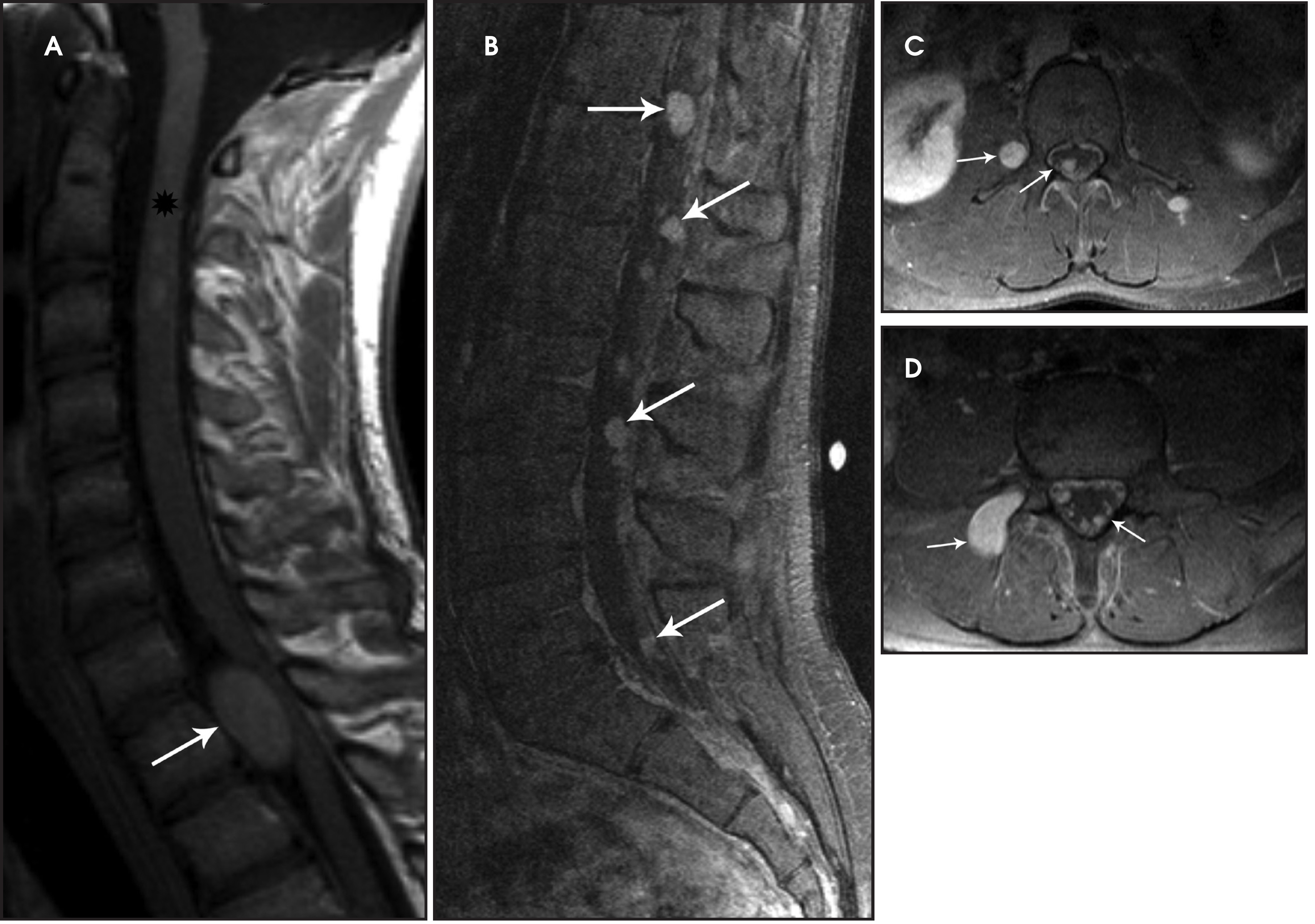 FIGURE 11.