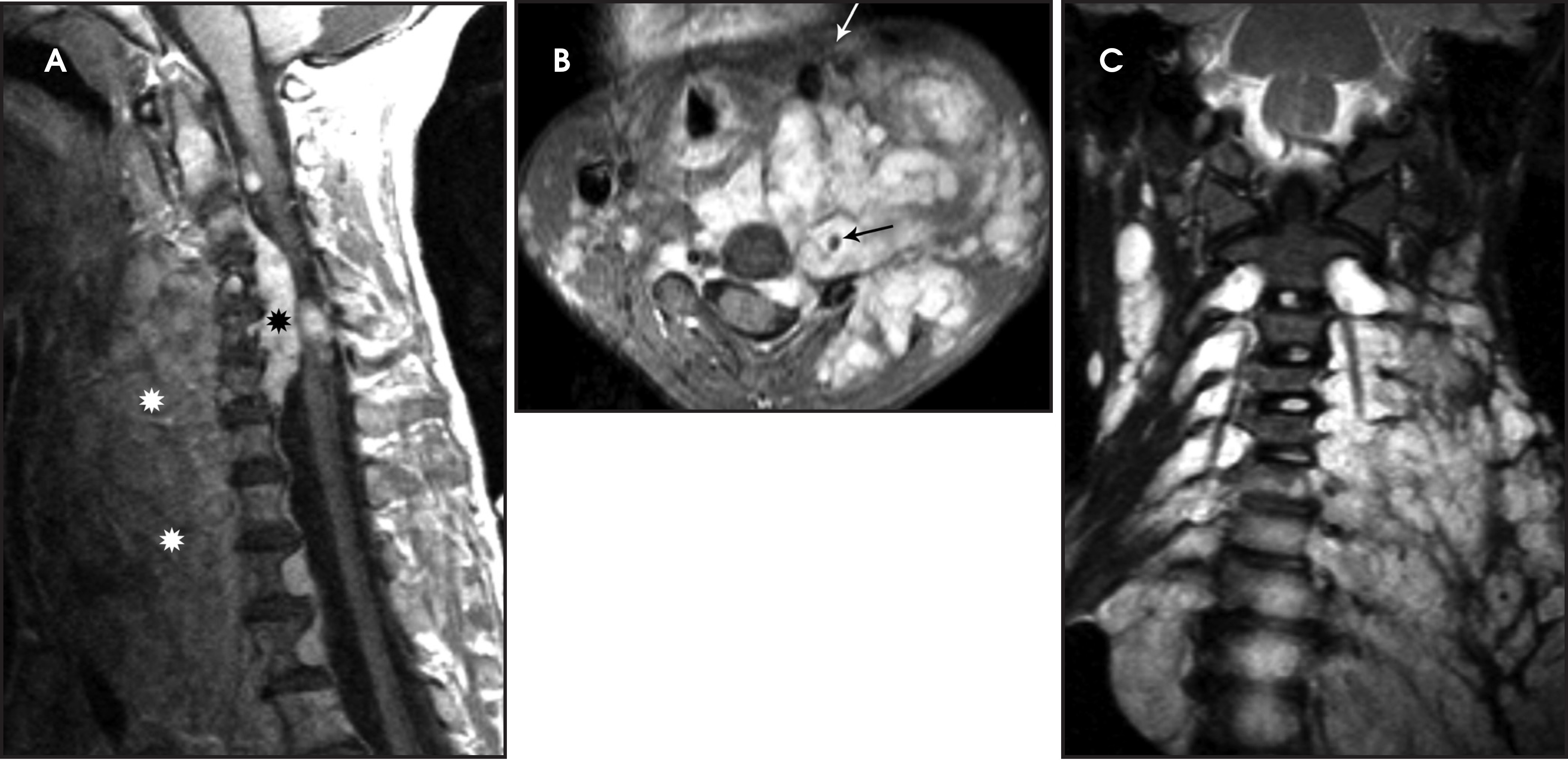 FIGURE 12.