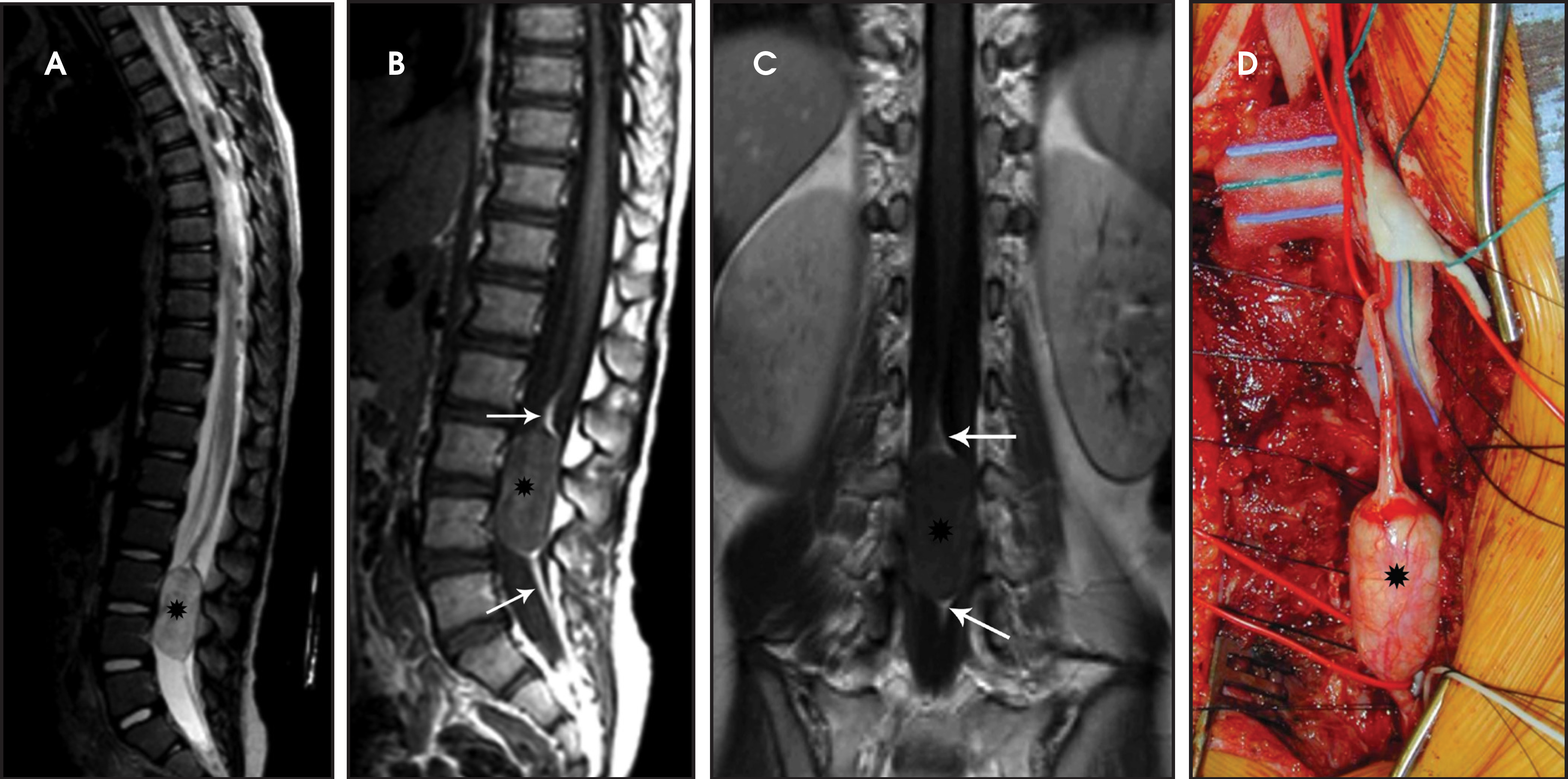 FIGURE 13.