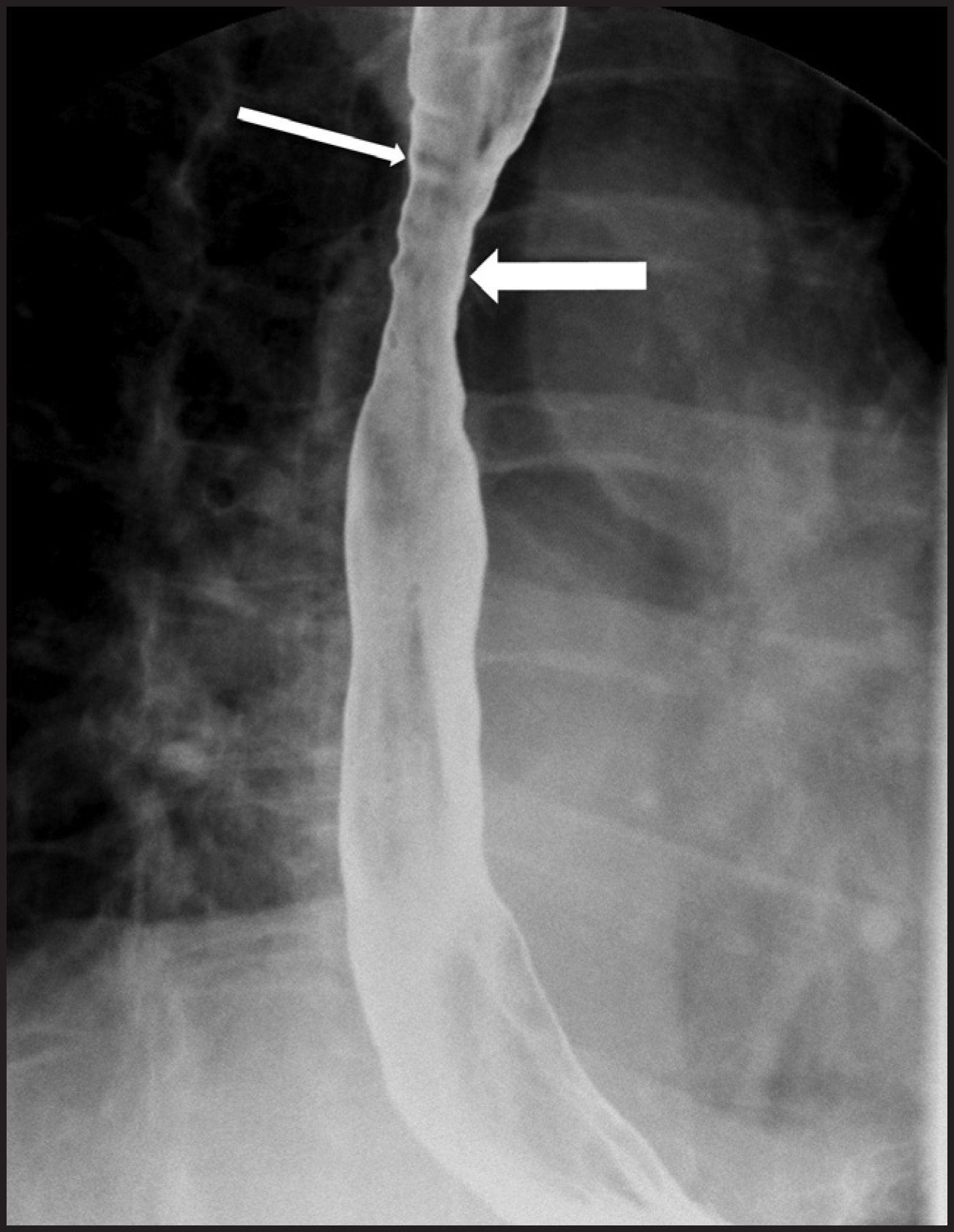 FIGURE 4.