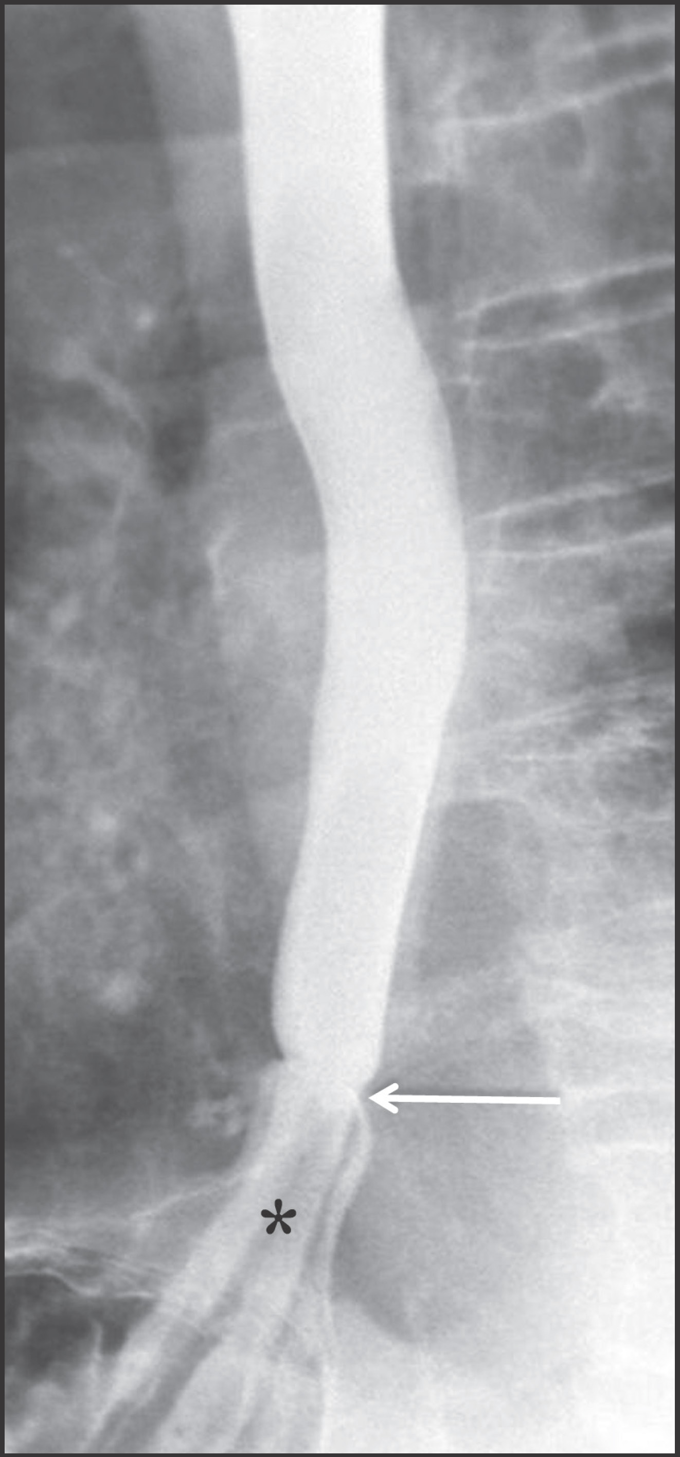 FIGURE 10.