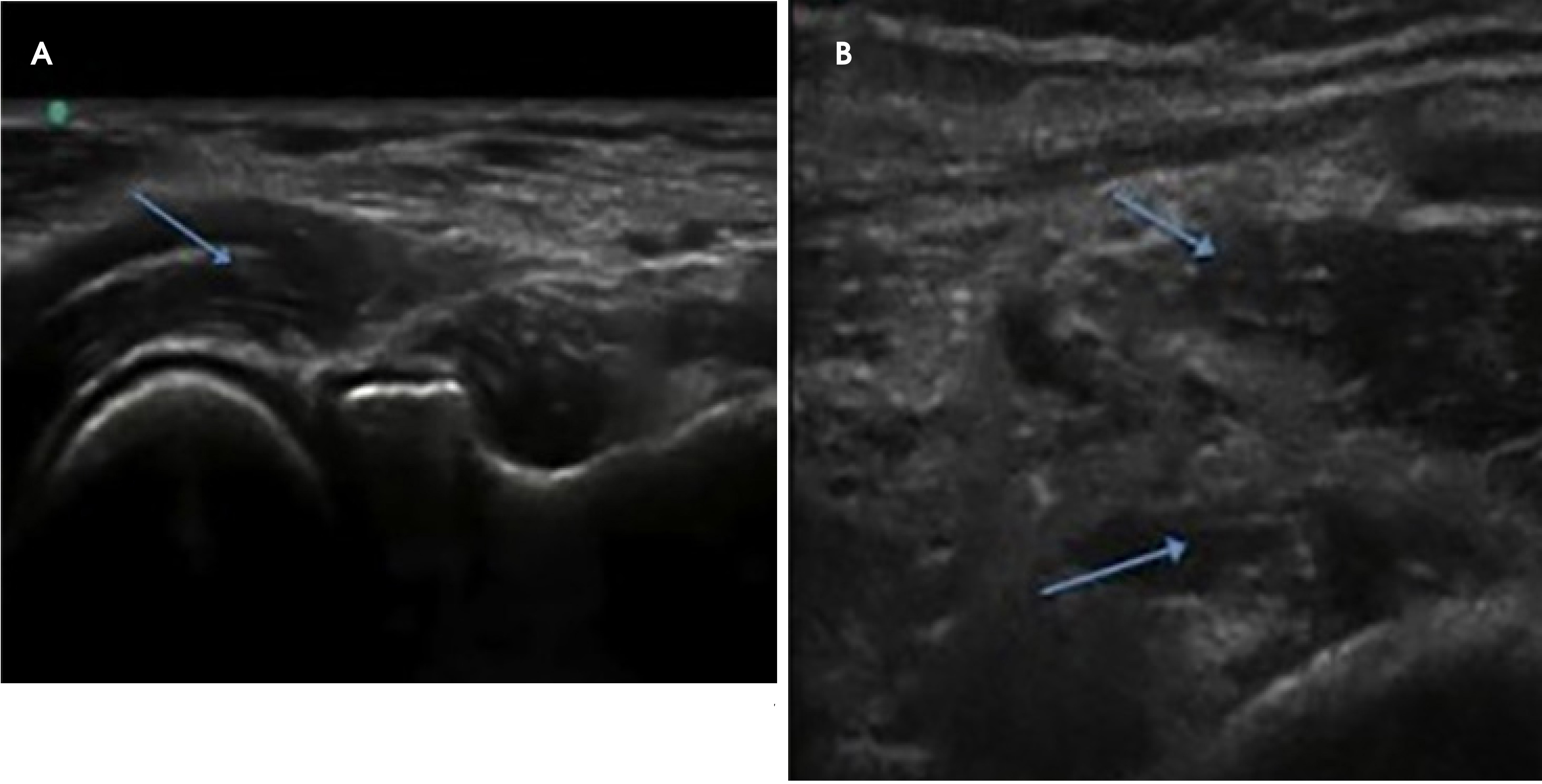 FIGURE 12.