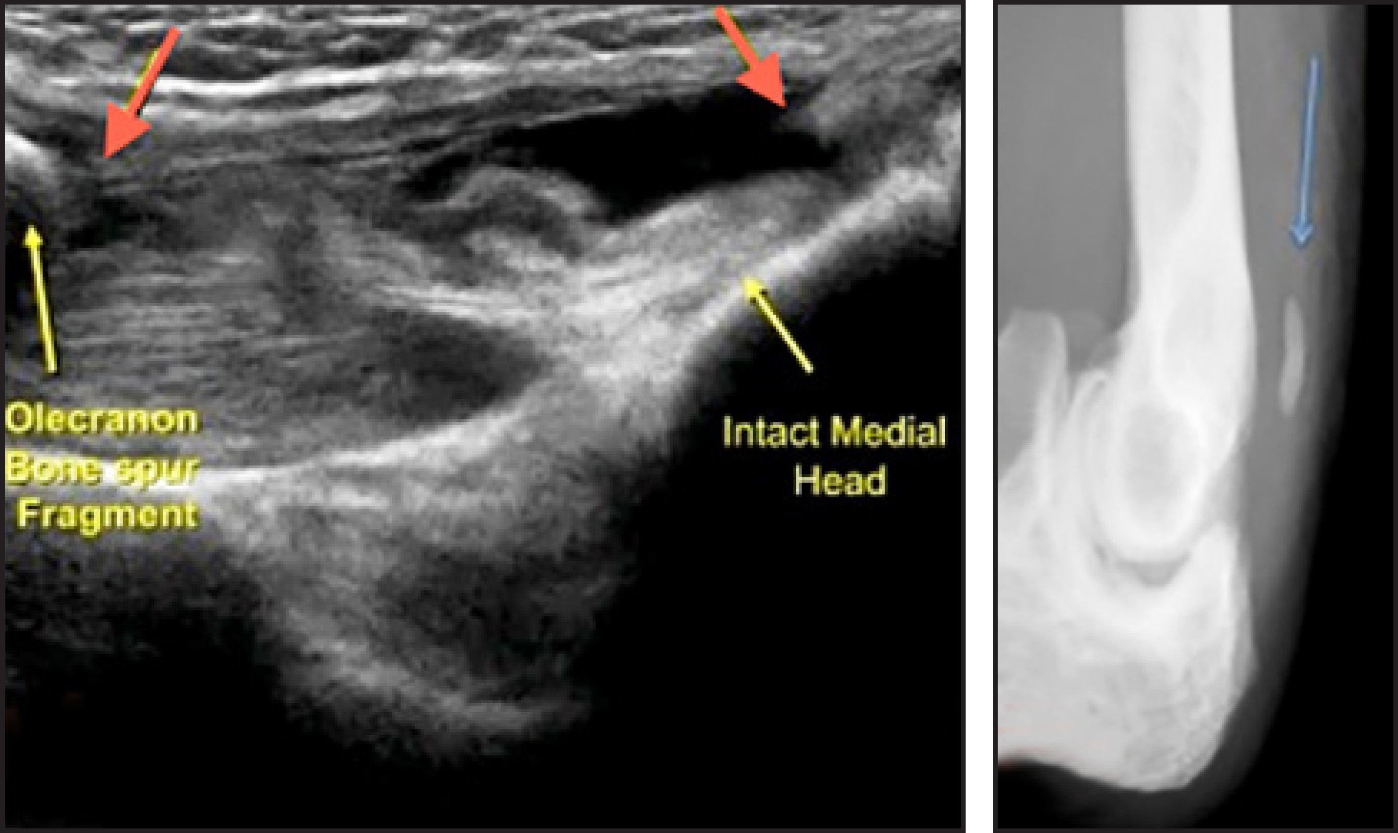 FIGURE 19.