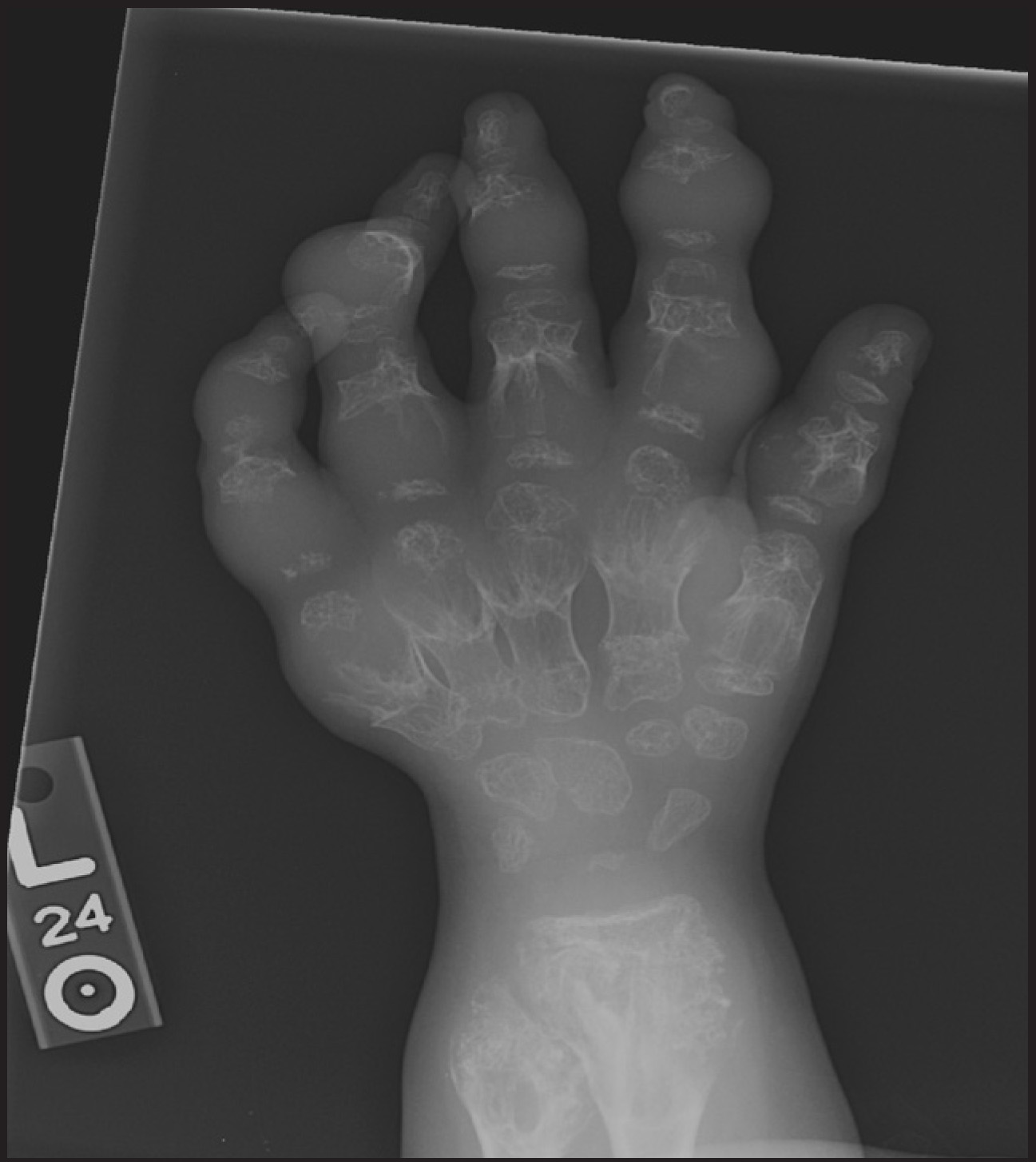 FIGURE 1.