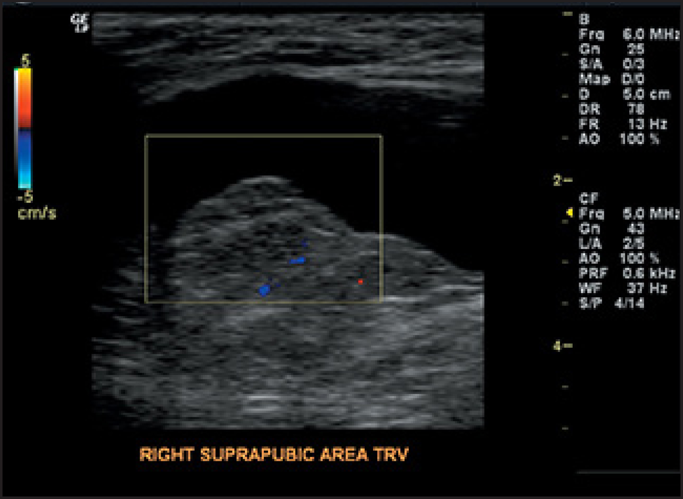 FIGURE 1.