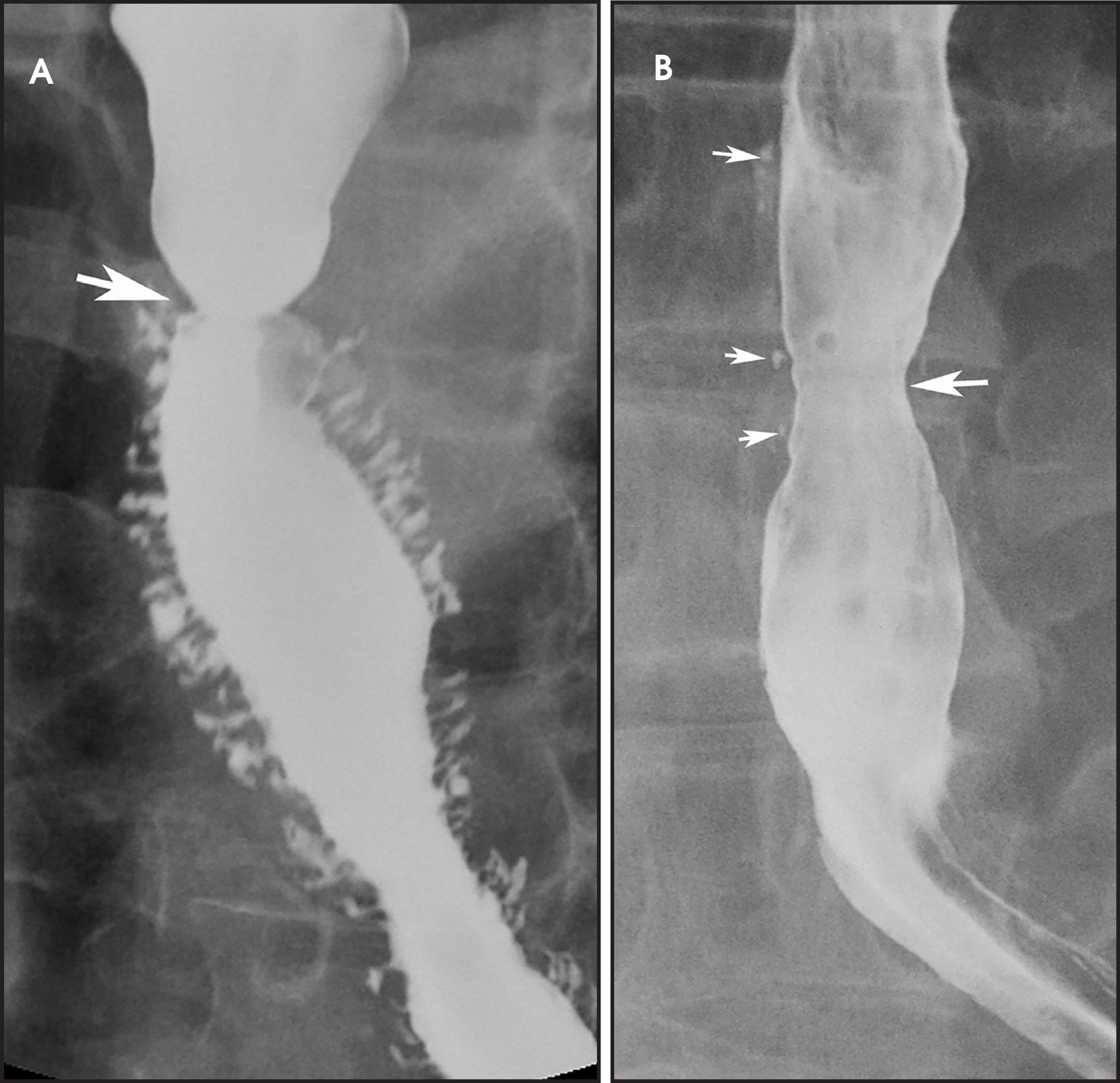 FIGURE 9.