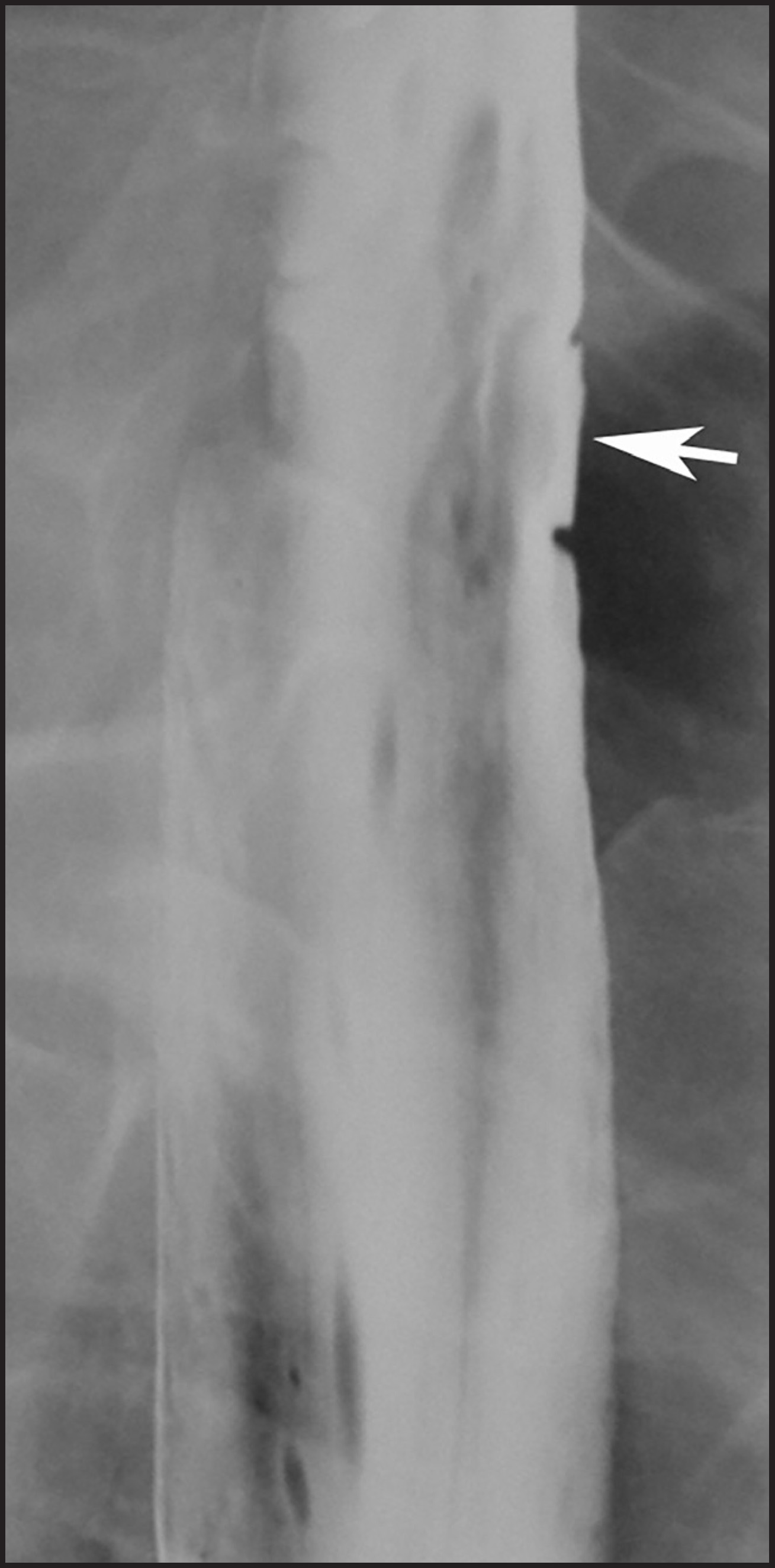 FIGURE 10.