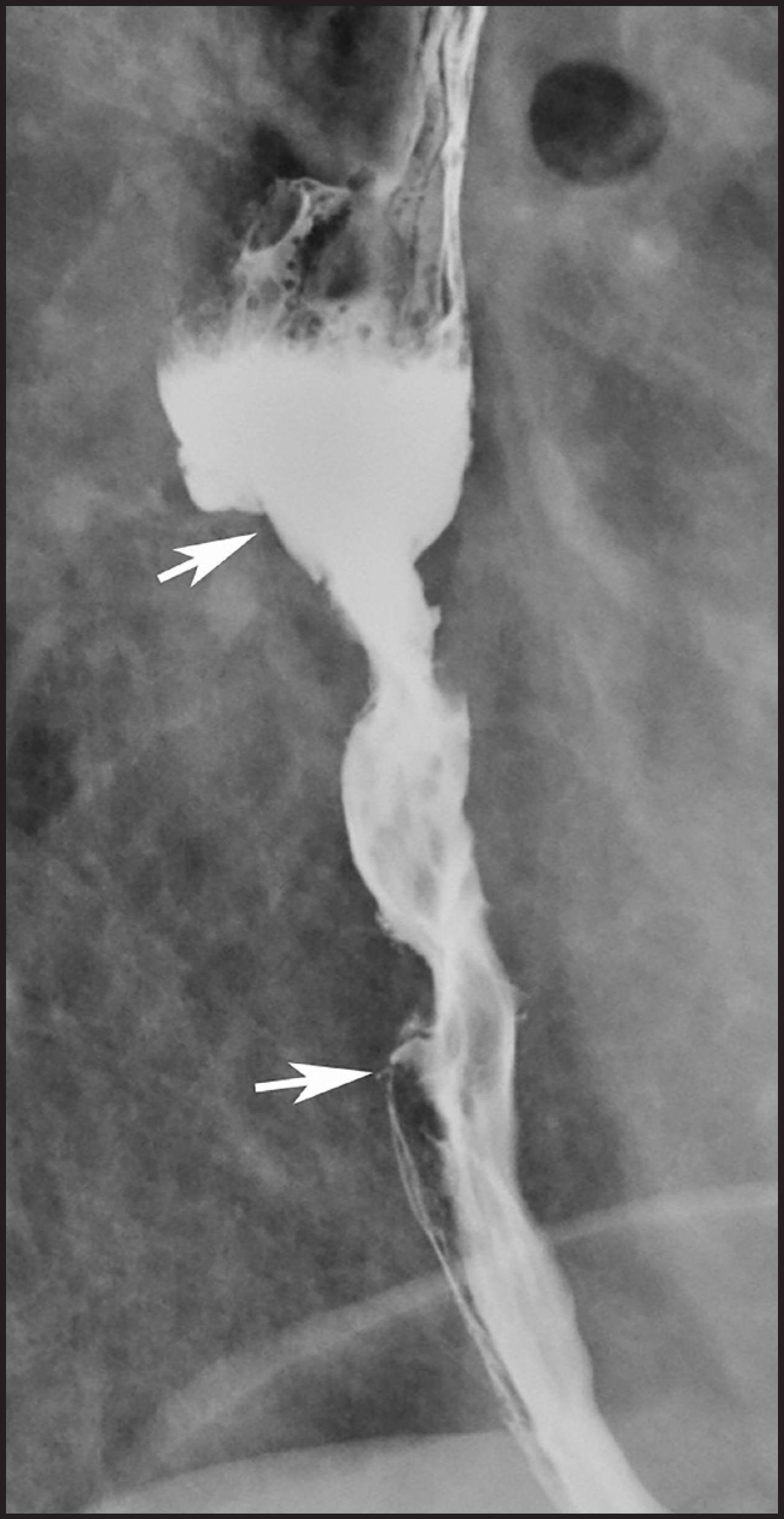 FIGURE 15.