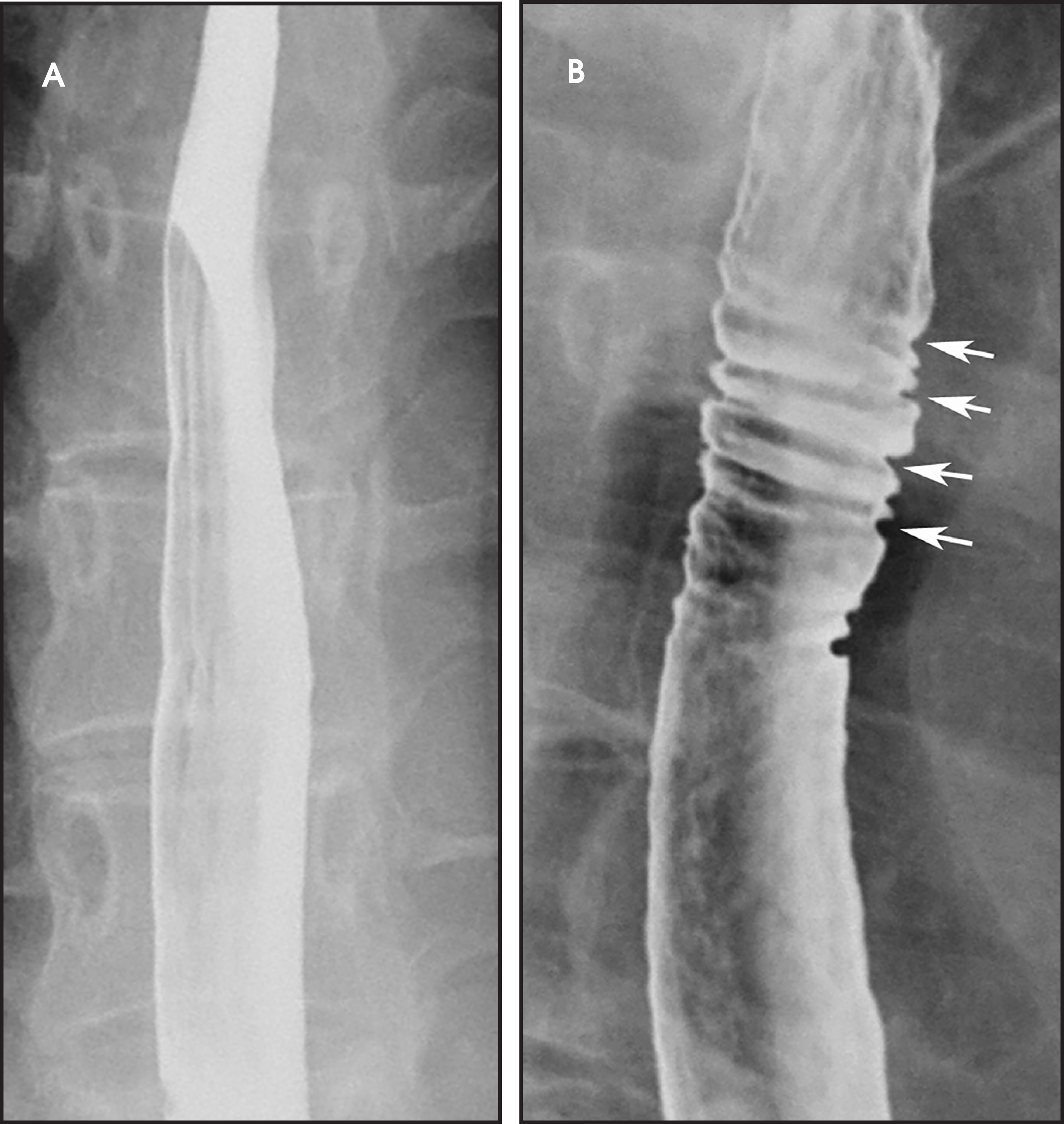 FIGURE 16.