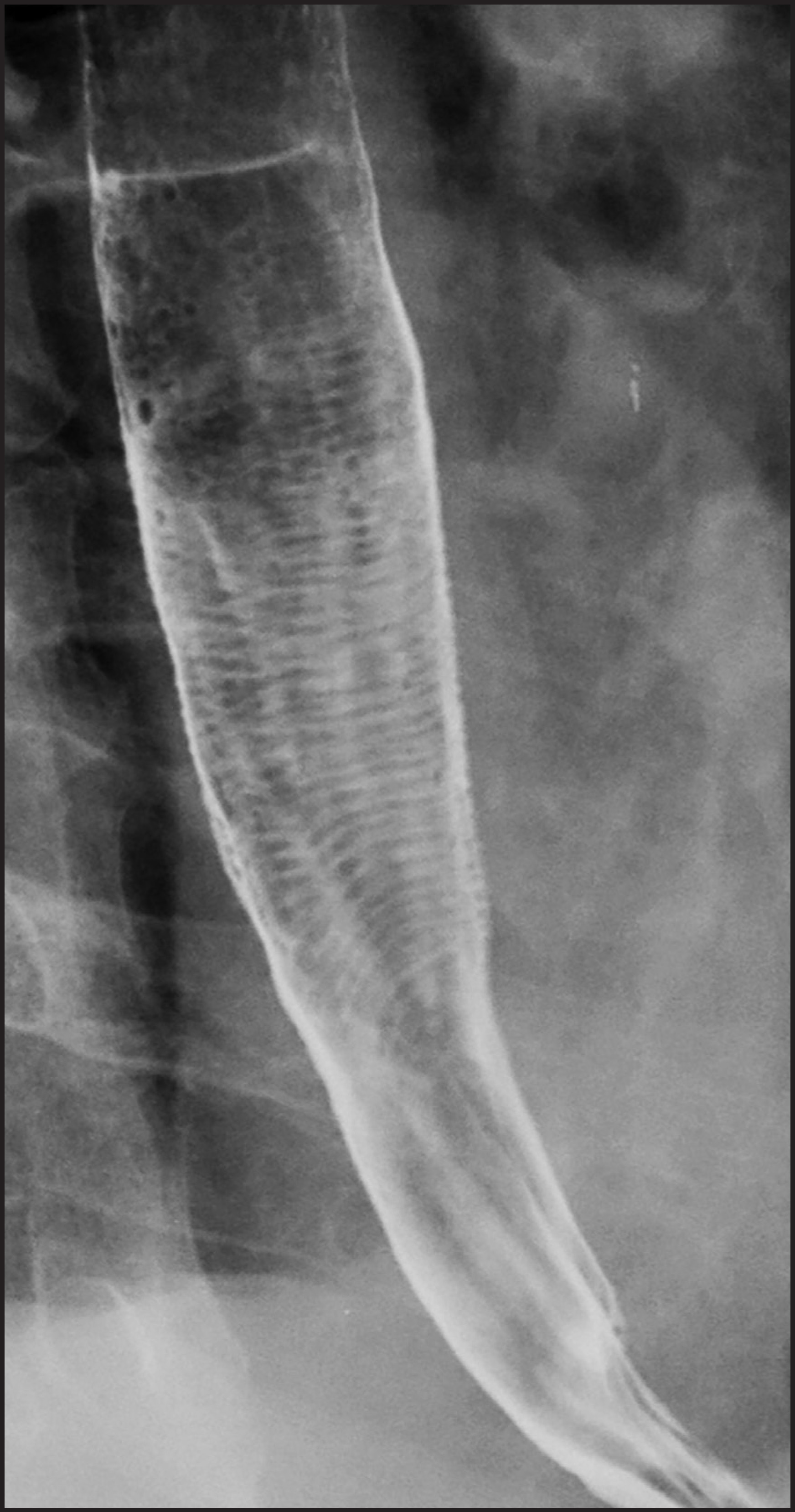 FIGURE 18.