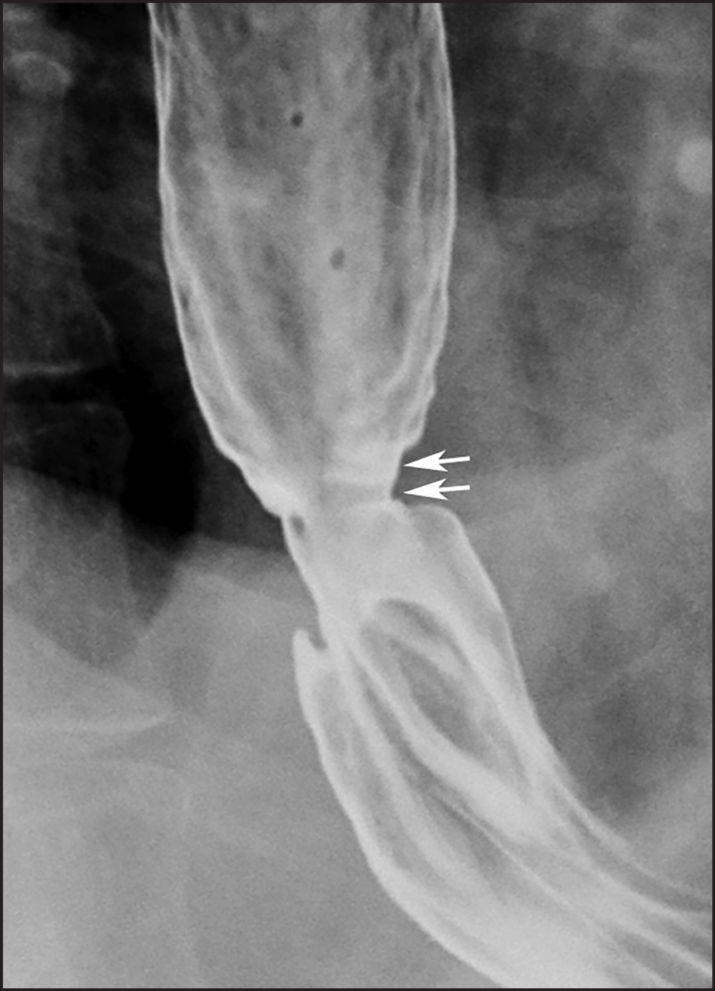 FIGURE 19.