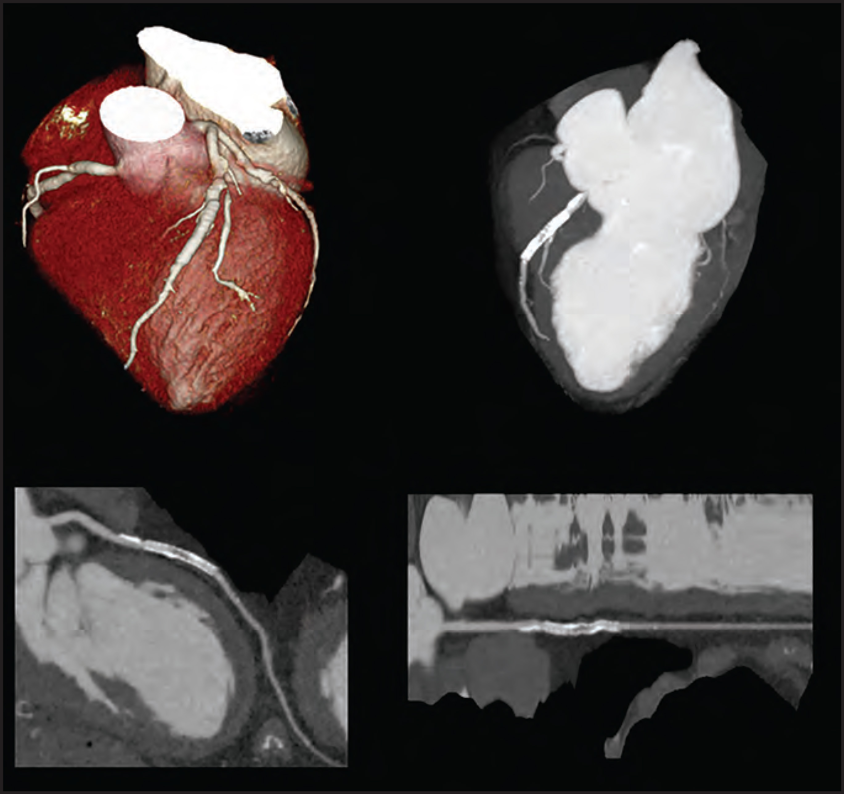 FIGURE 10.