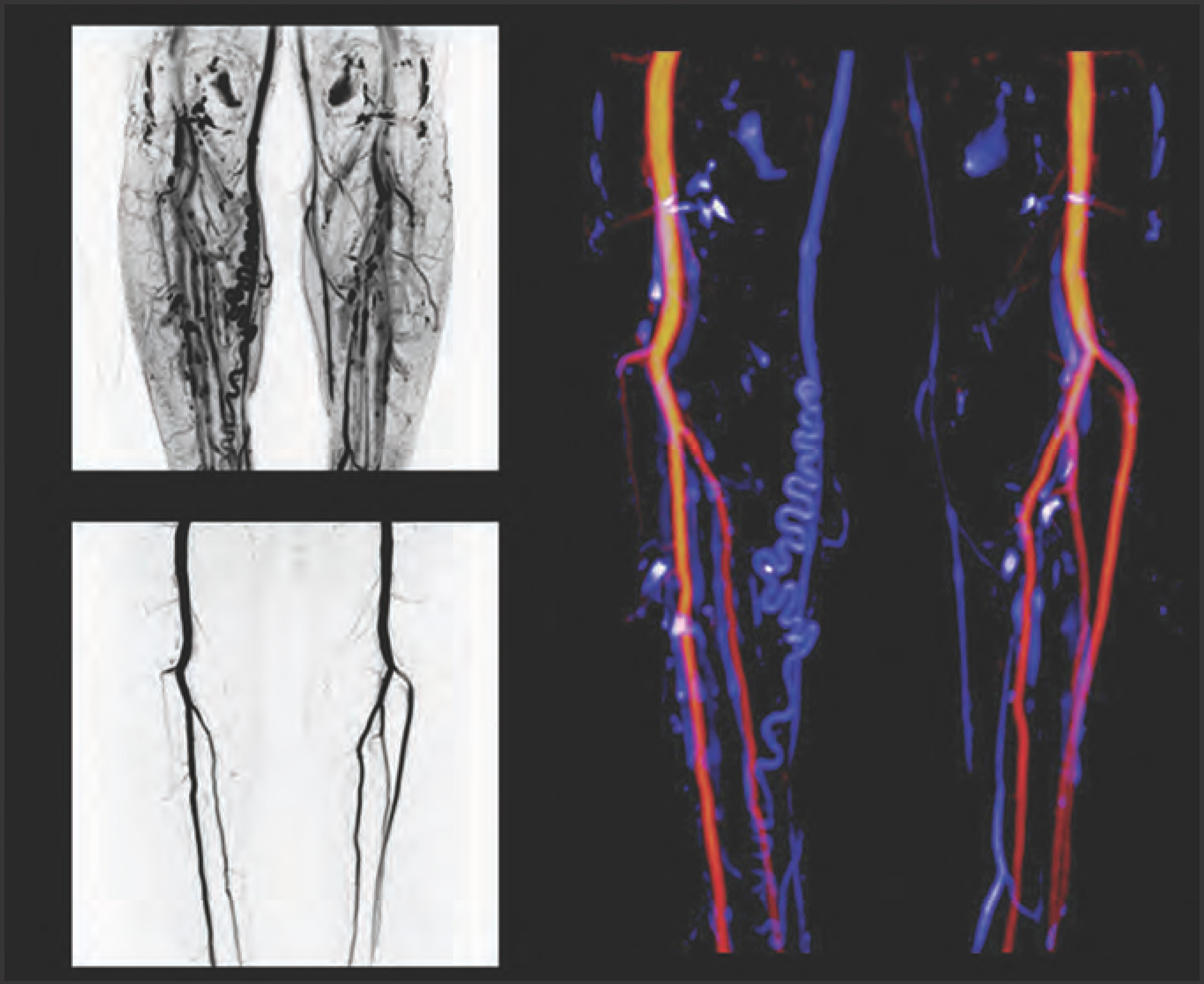 FIGURE 12.