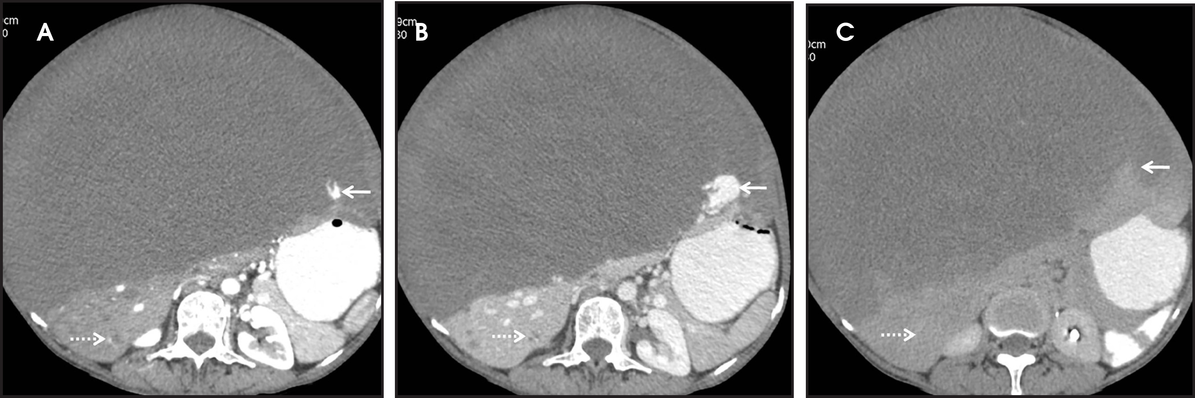 FIGURE 2.