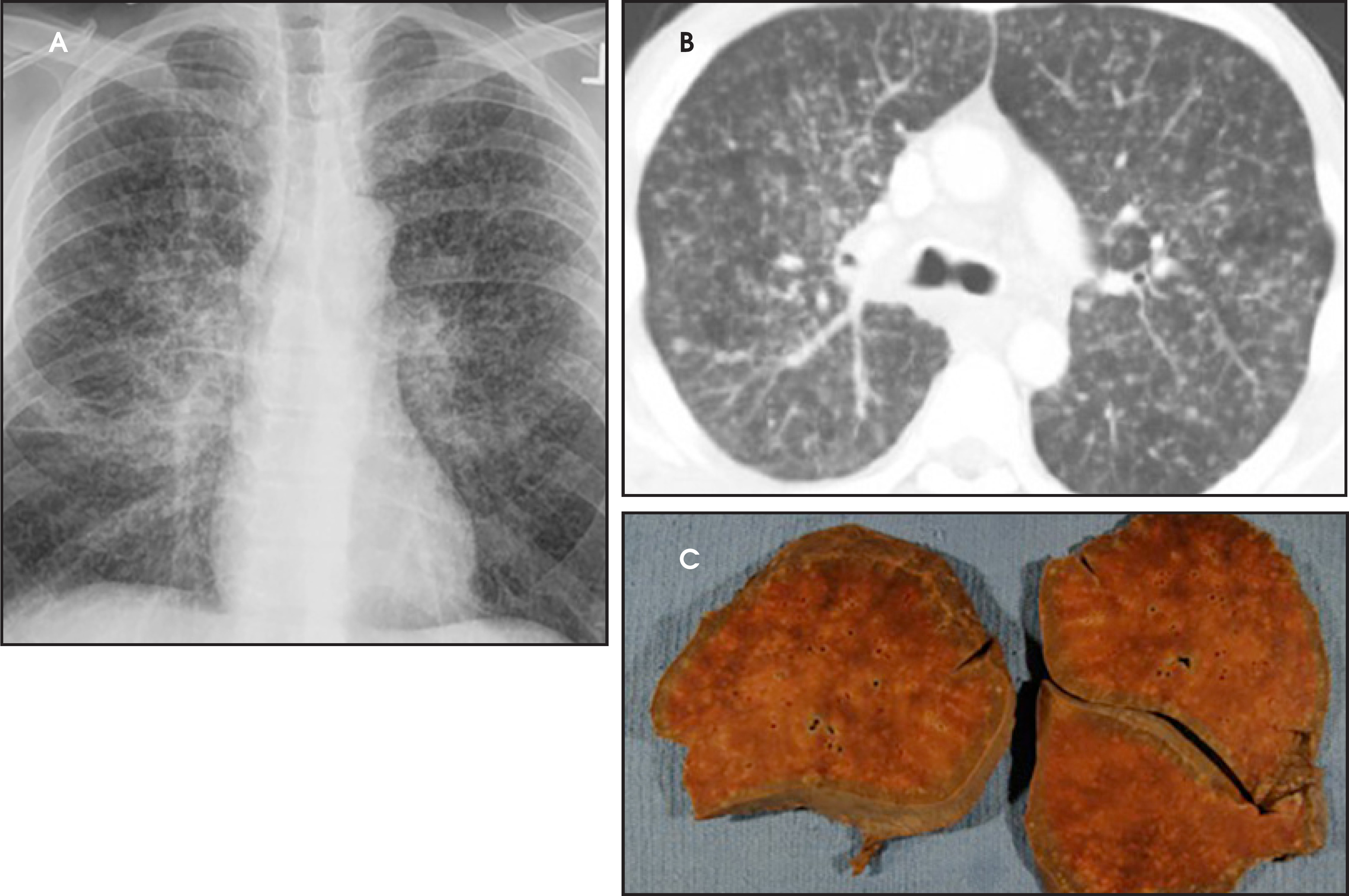 FIGURE 9.